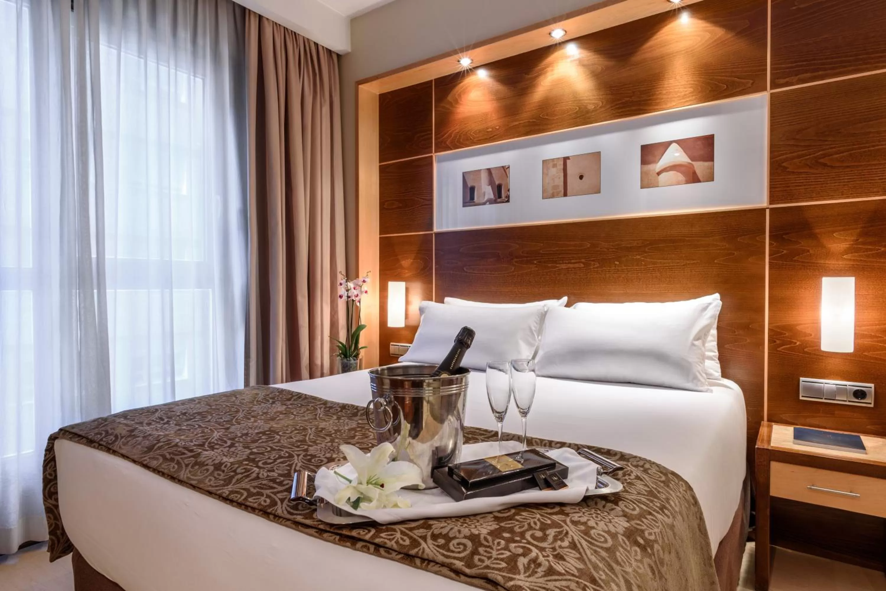 Junior Suite in Exe León