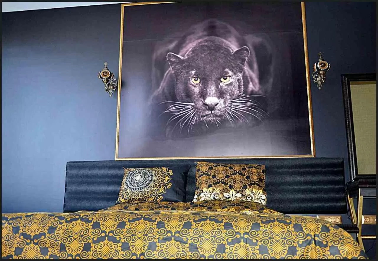 Double Room in Hotel Africa