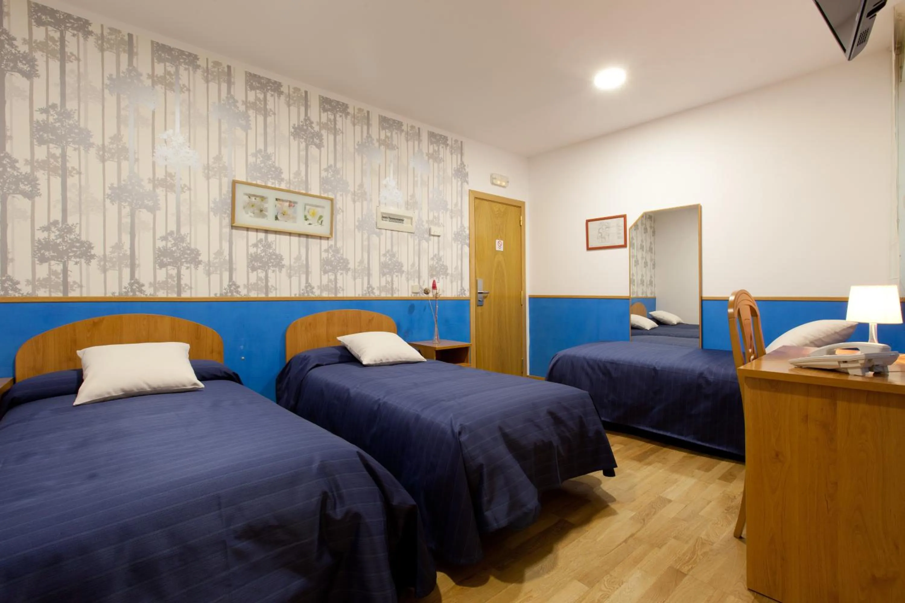 Double Room with Extra Bed in Hostal Montaloya