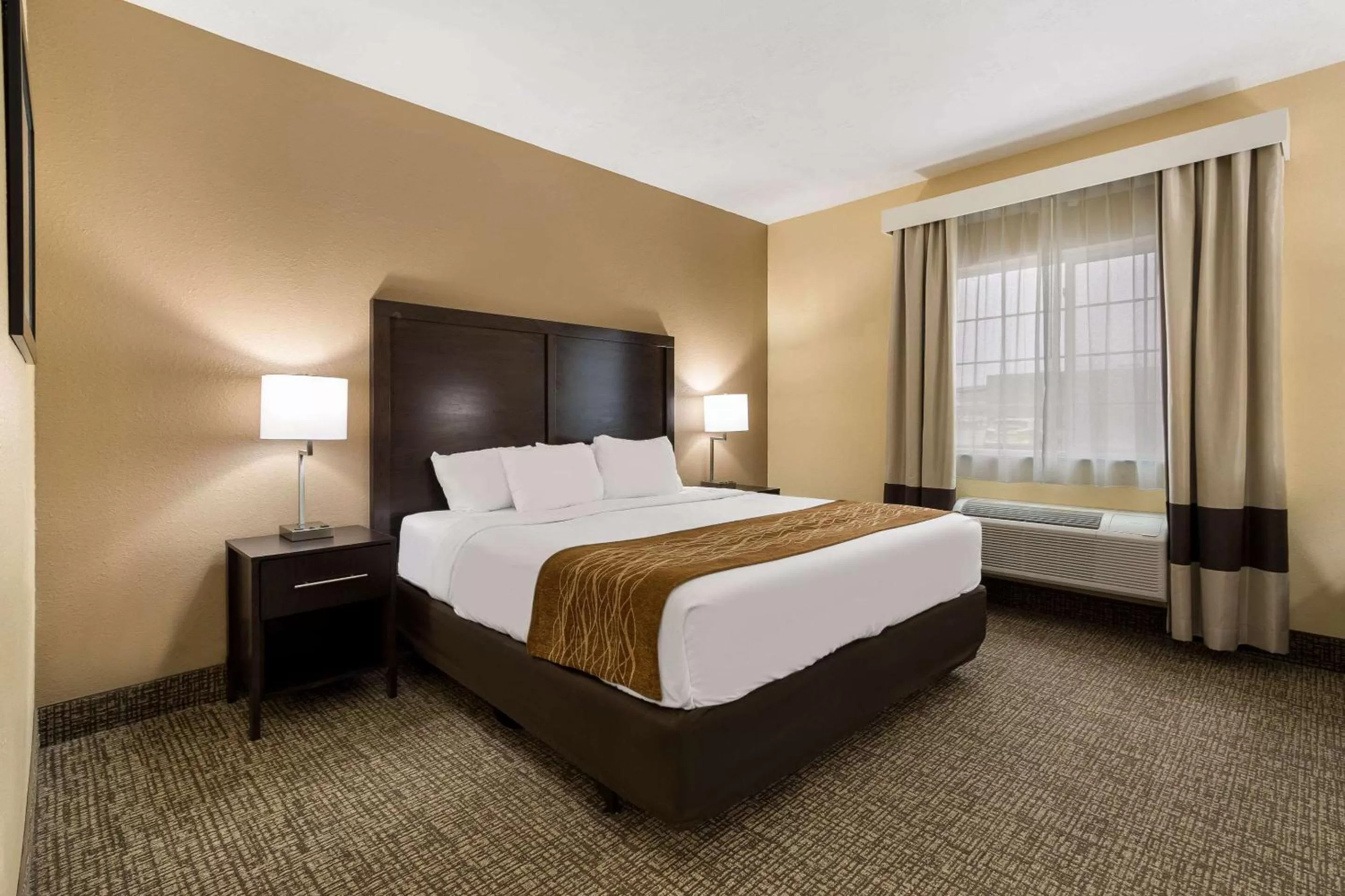 King Room - Disability Access - Non-Smoking in Comfort Inn Yankton SD