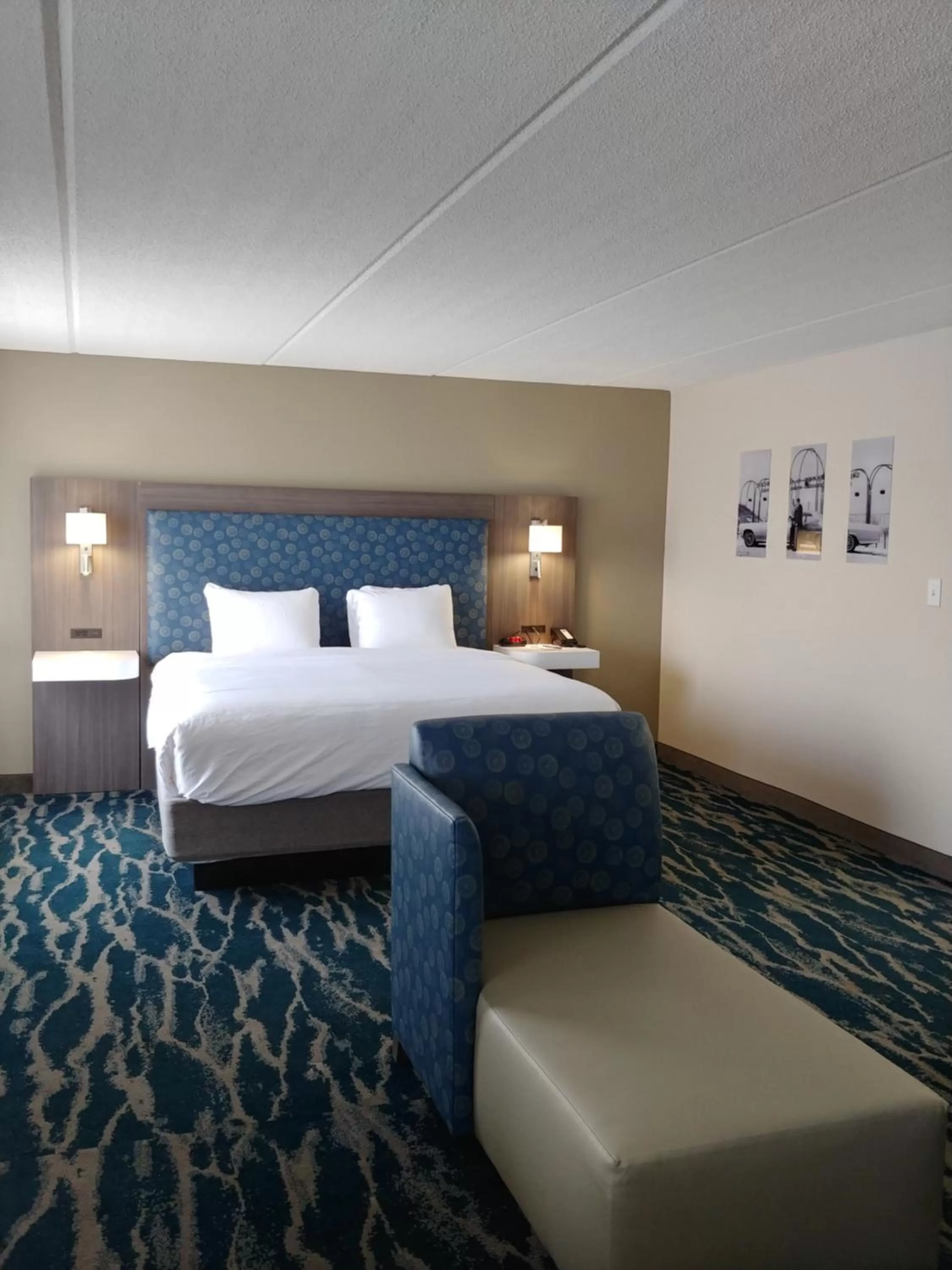 King Suite - Non-Smoking in Comfort Inn & Suites Greenville Near Convention Center