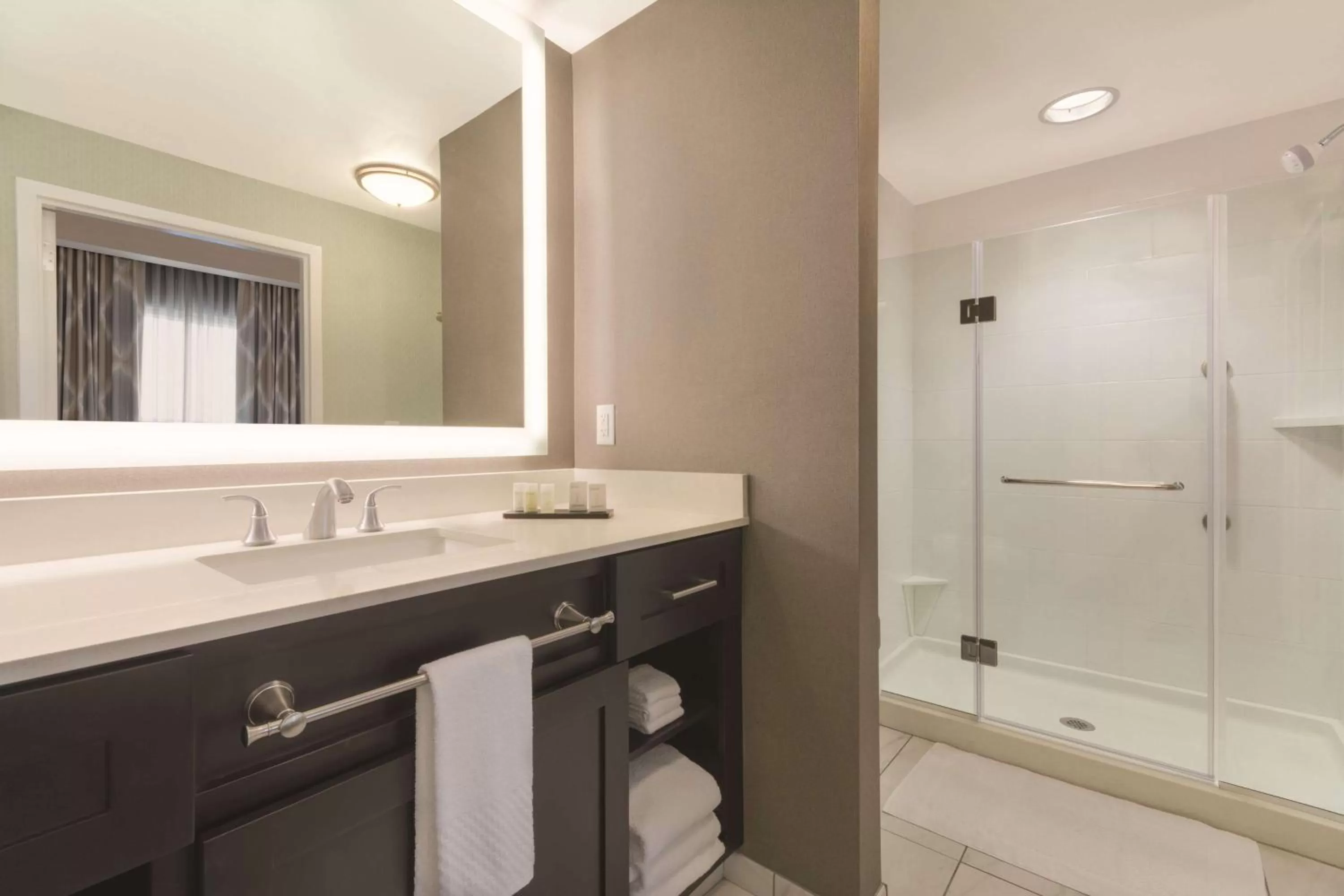 Queen Suite in Embassy Suites by Hilton Tuscaloosa Alabama Downtown