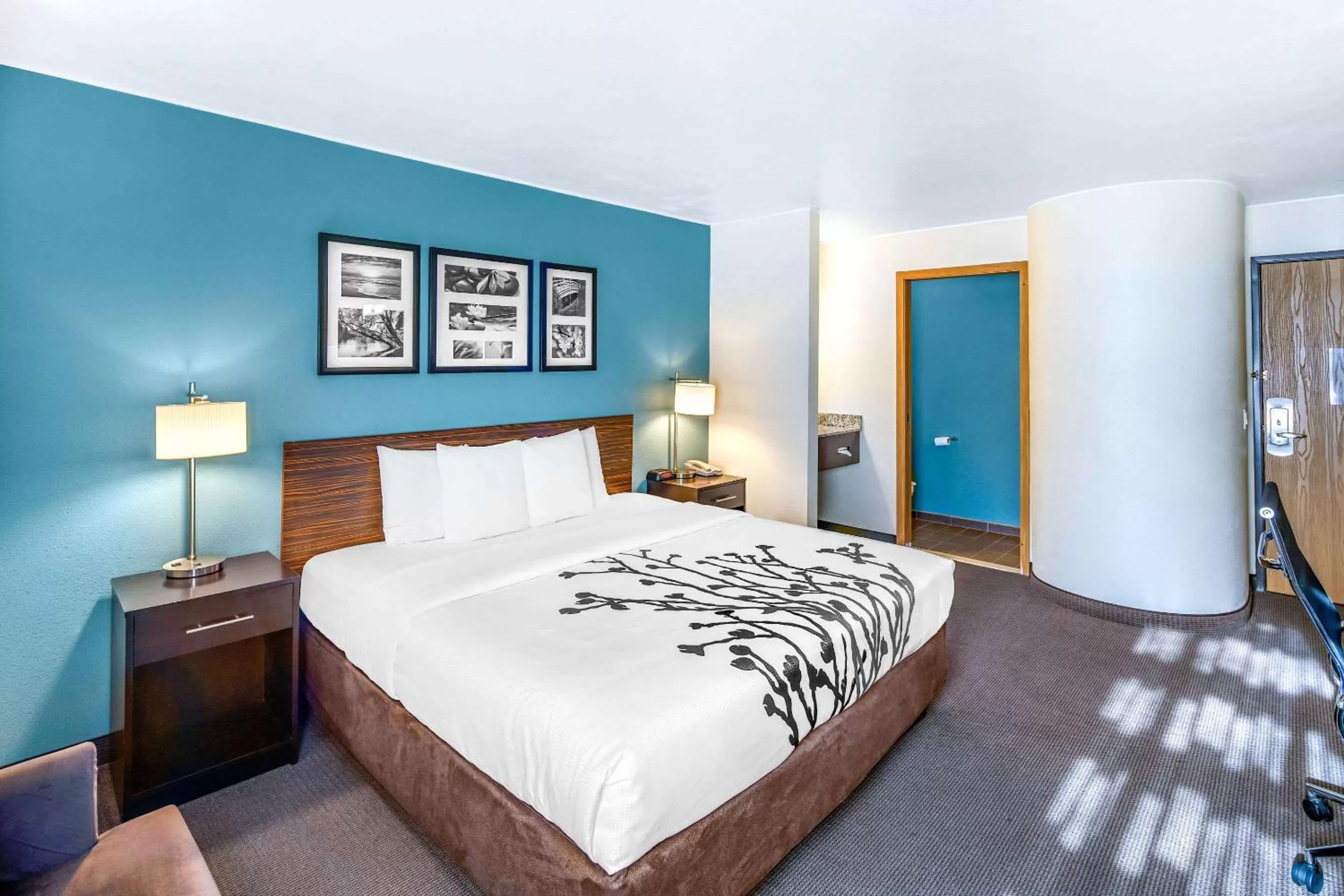 King Room - Non-Smoking in Sleep Inn near Washington State Line