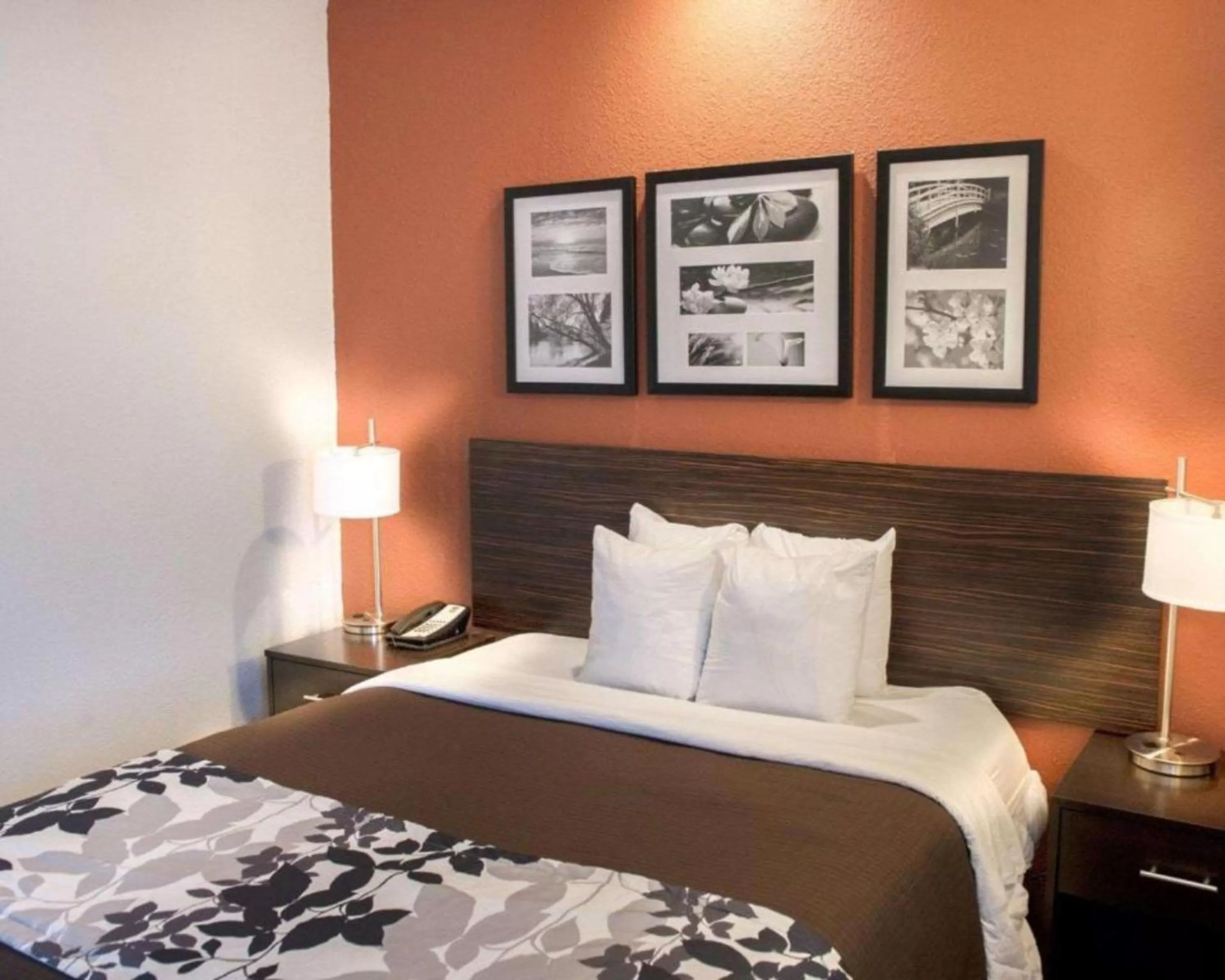 Queen Room with 2 Person Whirlpool-In Bath - Accessible/Non-Smoking in Sleep Inn O'Fallon near I-64