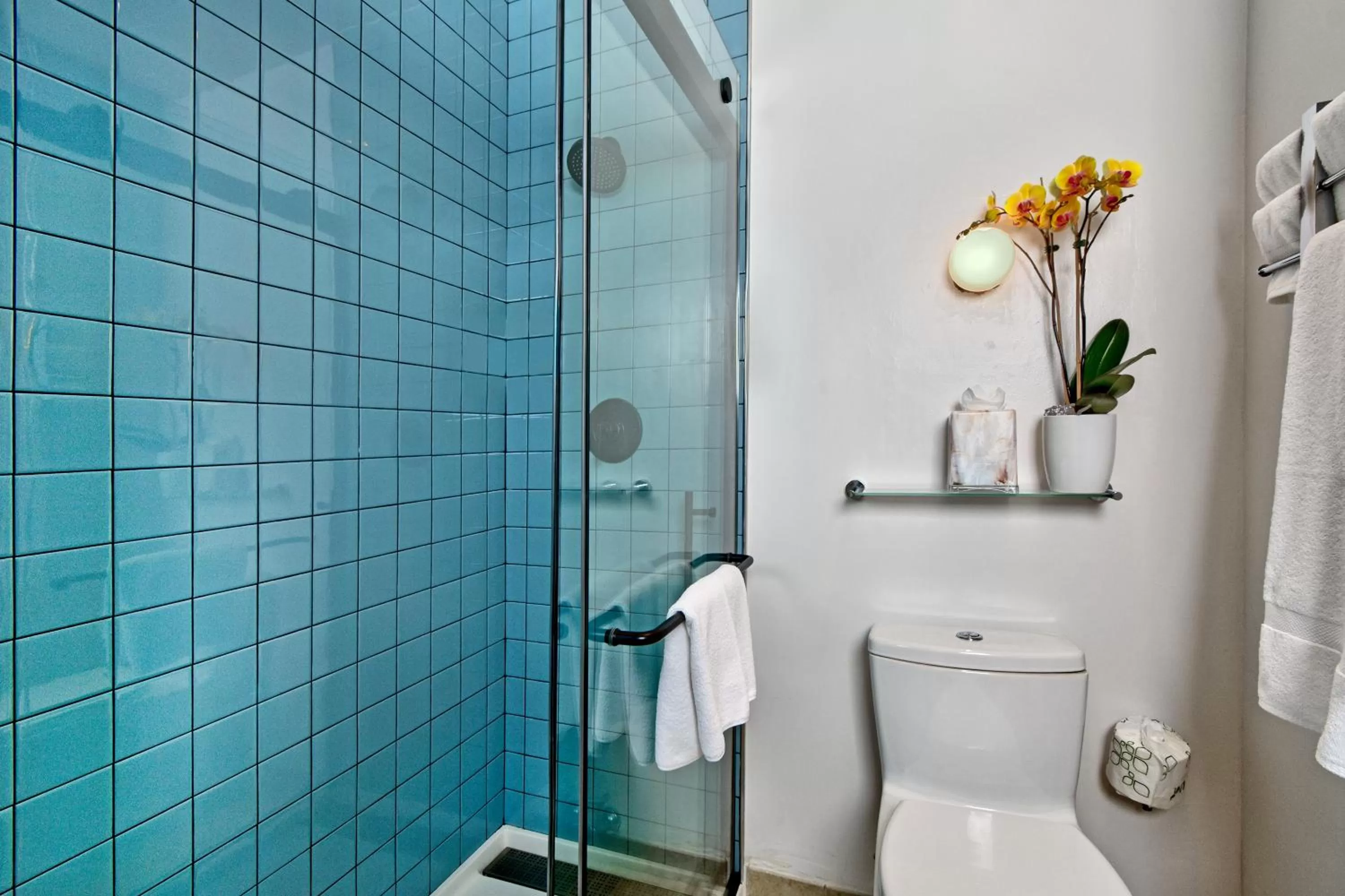 Standard Queen Room in Hotel Griffon