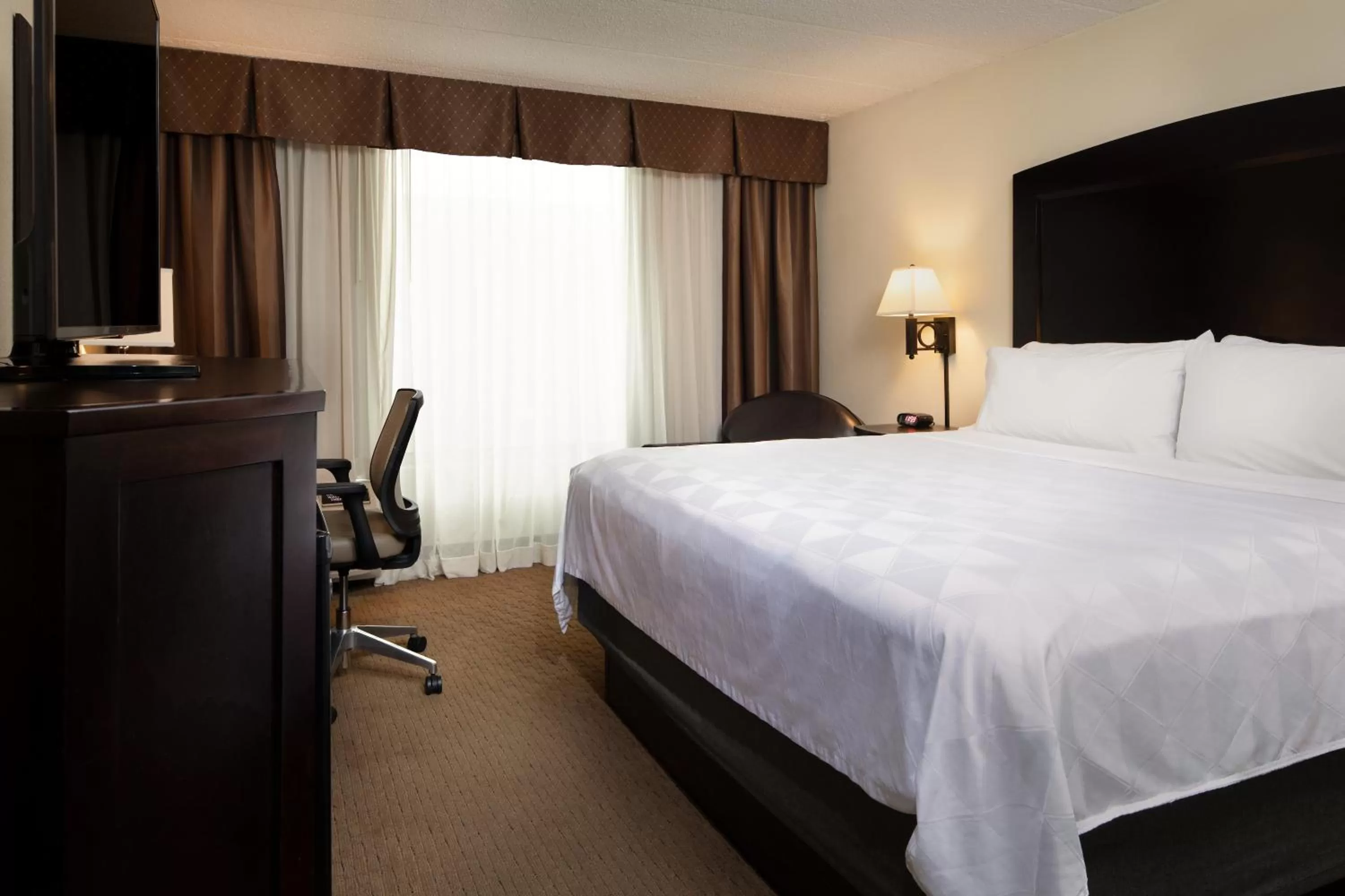 Standard King Room in Holiday Inn and Suites Charleston West by IHG