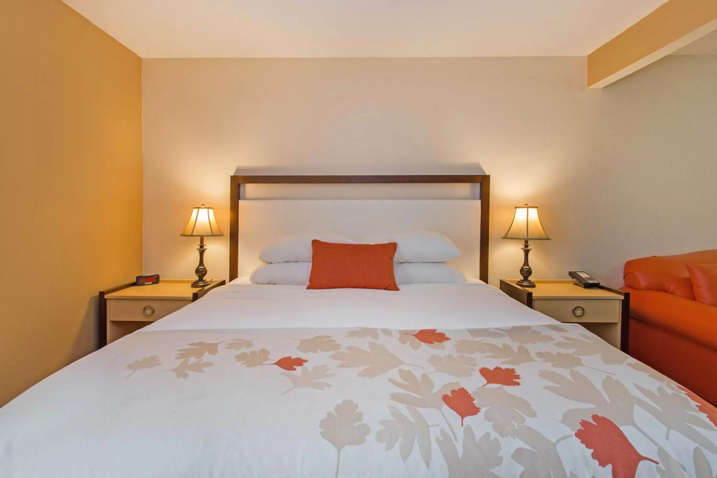 King Room - Disability Access - Non-Smoking in Hawthorn Suites by Wyndham Allentown-Fogelsville