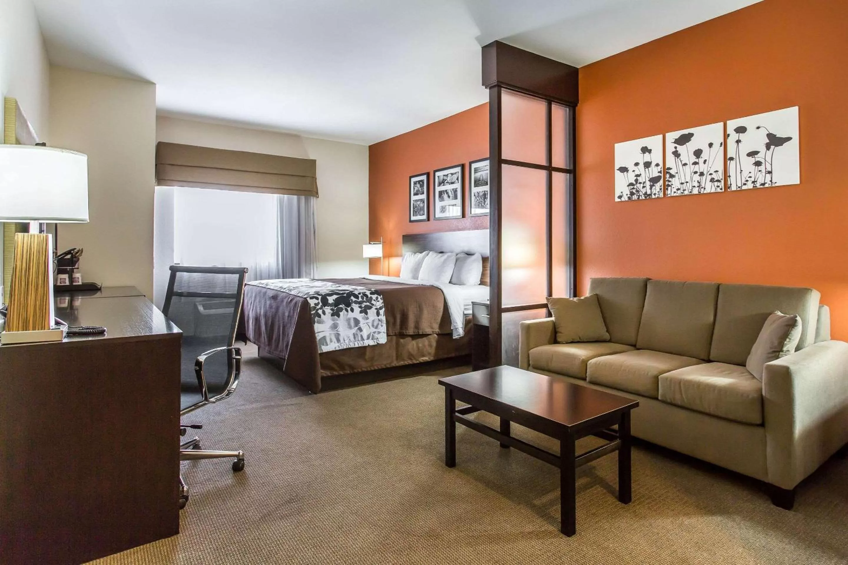King Suite - Accessible/Non-Smoking in Sleep Inn & Suites Lubbock West