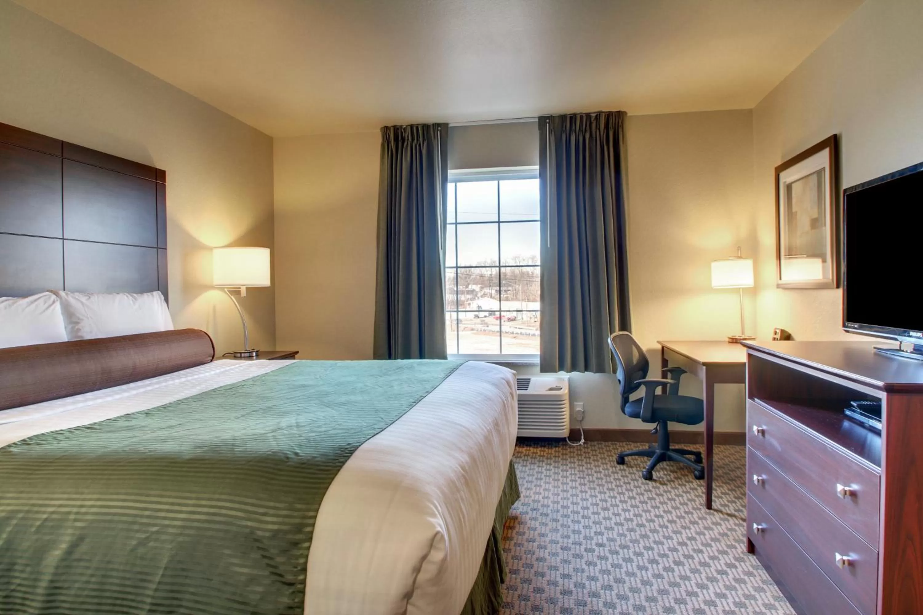 Deluxe King Room in Cobblestone Inn & Suites Steele