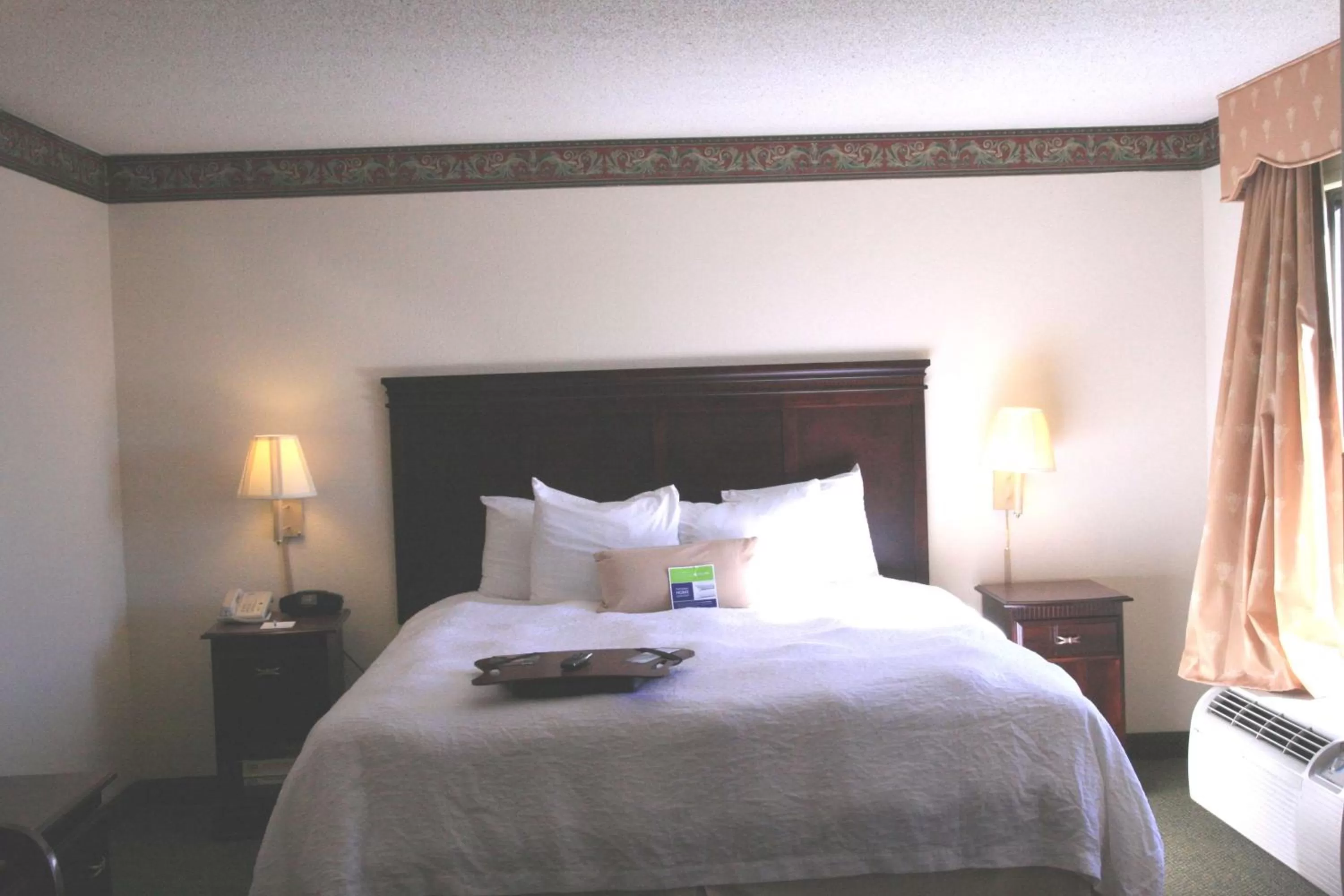 King Suite with Sofa Bed - Non-Smoking in Hampton Inn Richmond-SW Hull Street