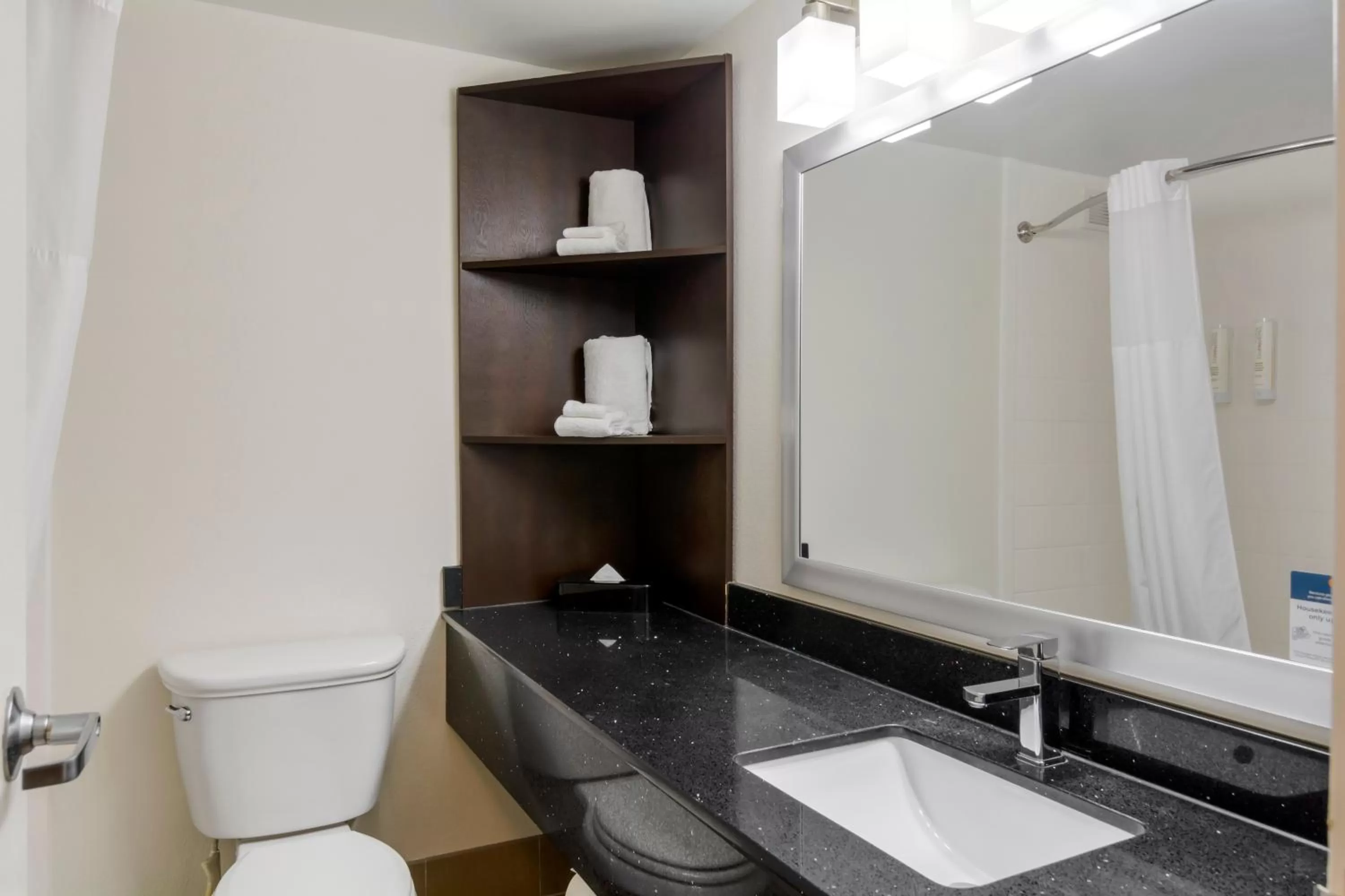 Standard King Room - Non Smoking in Clarion Pointe Charlottesville