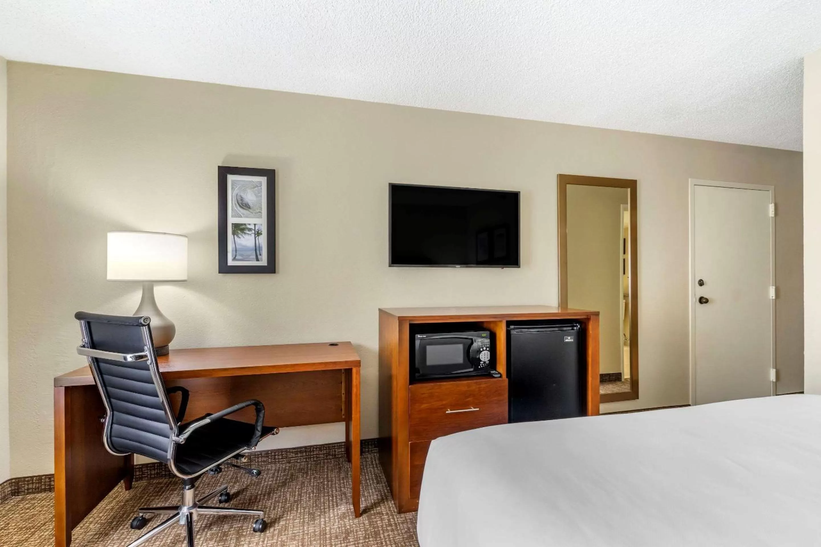 Queen Room - Accessible/Non-Smoking in Comfort Inn & Suites St Pete - Clearwater International Airport
