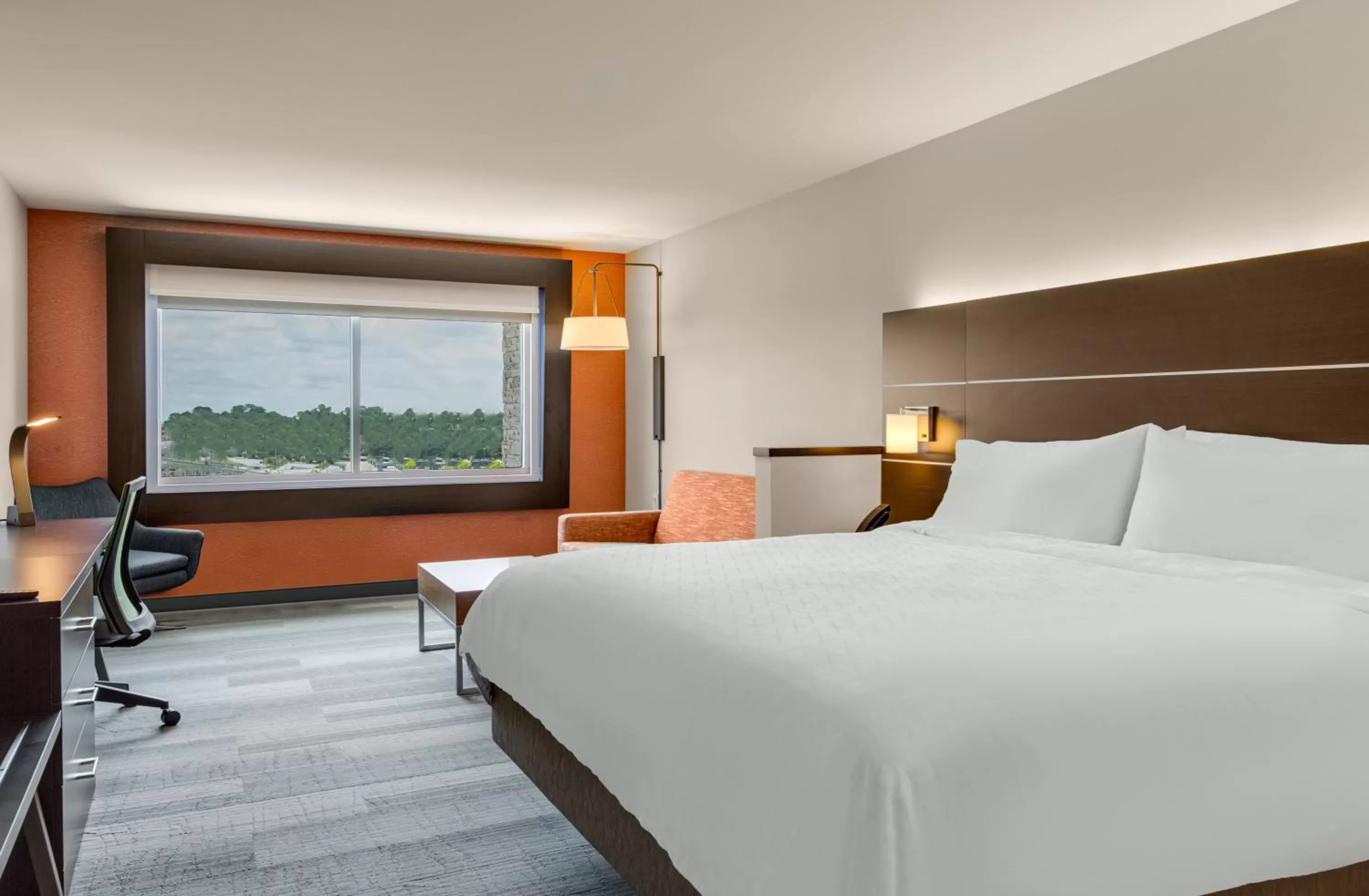 King Suite with Sofa Bed - Non-Smoking in Holiday Inn Express & Suites Sanford - Lake Mary by IHG