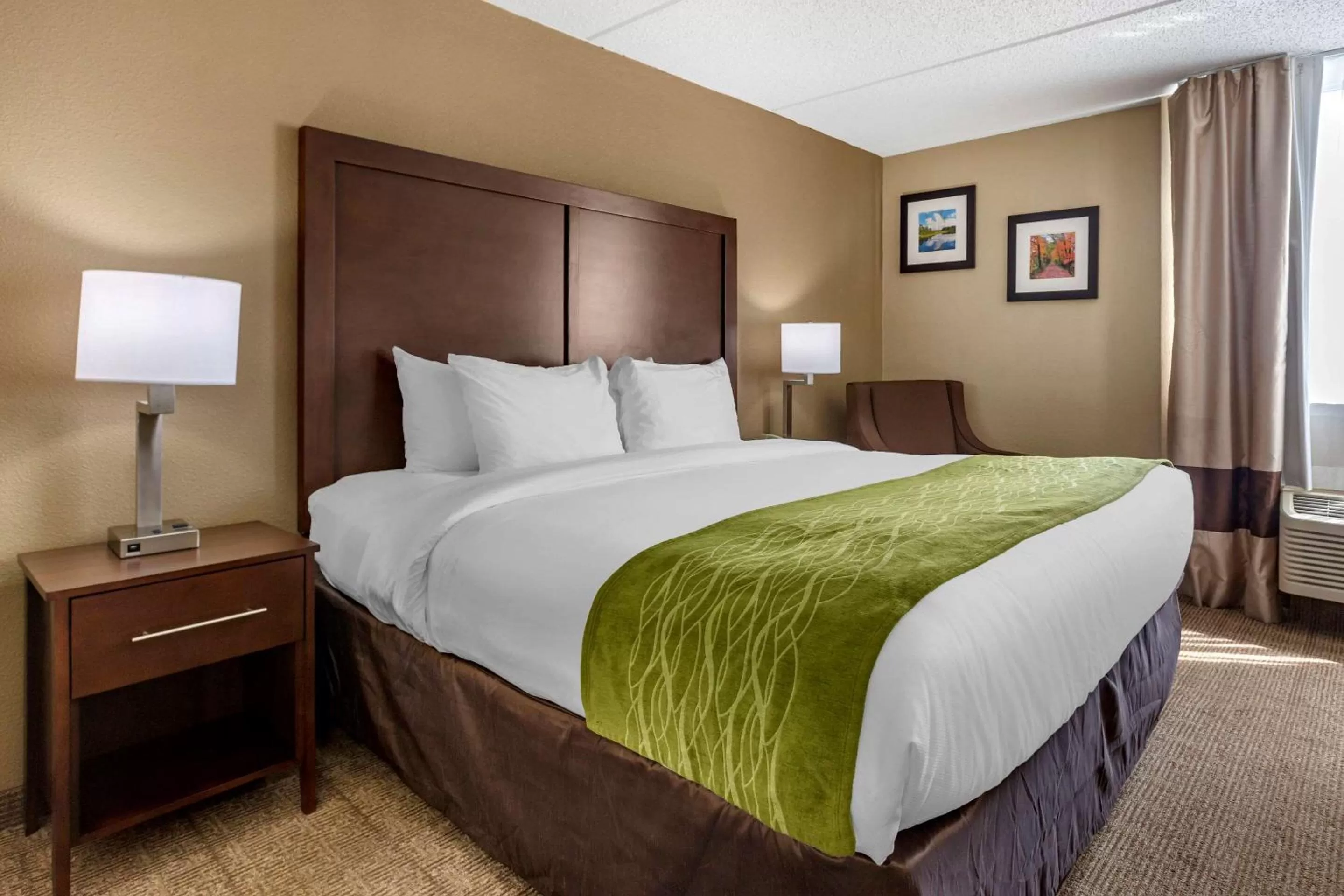 Non-Smoking Single King Room in Comfort Inn Edison - New Brunswick