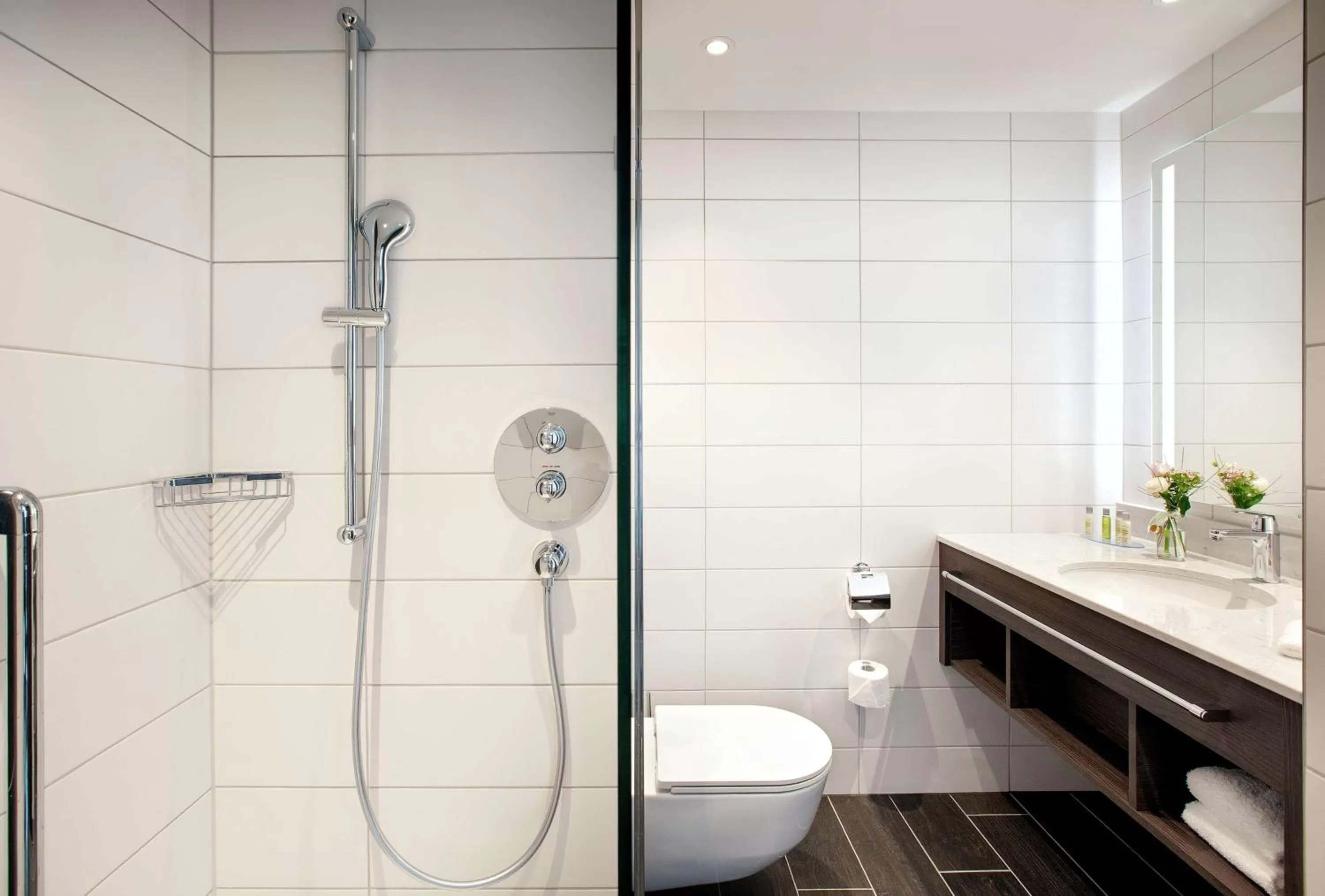 King Room in Hilton Garden Inn Zurich Limmattal