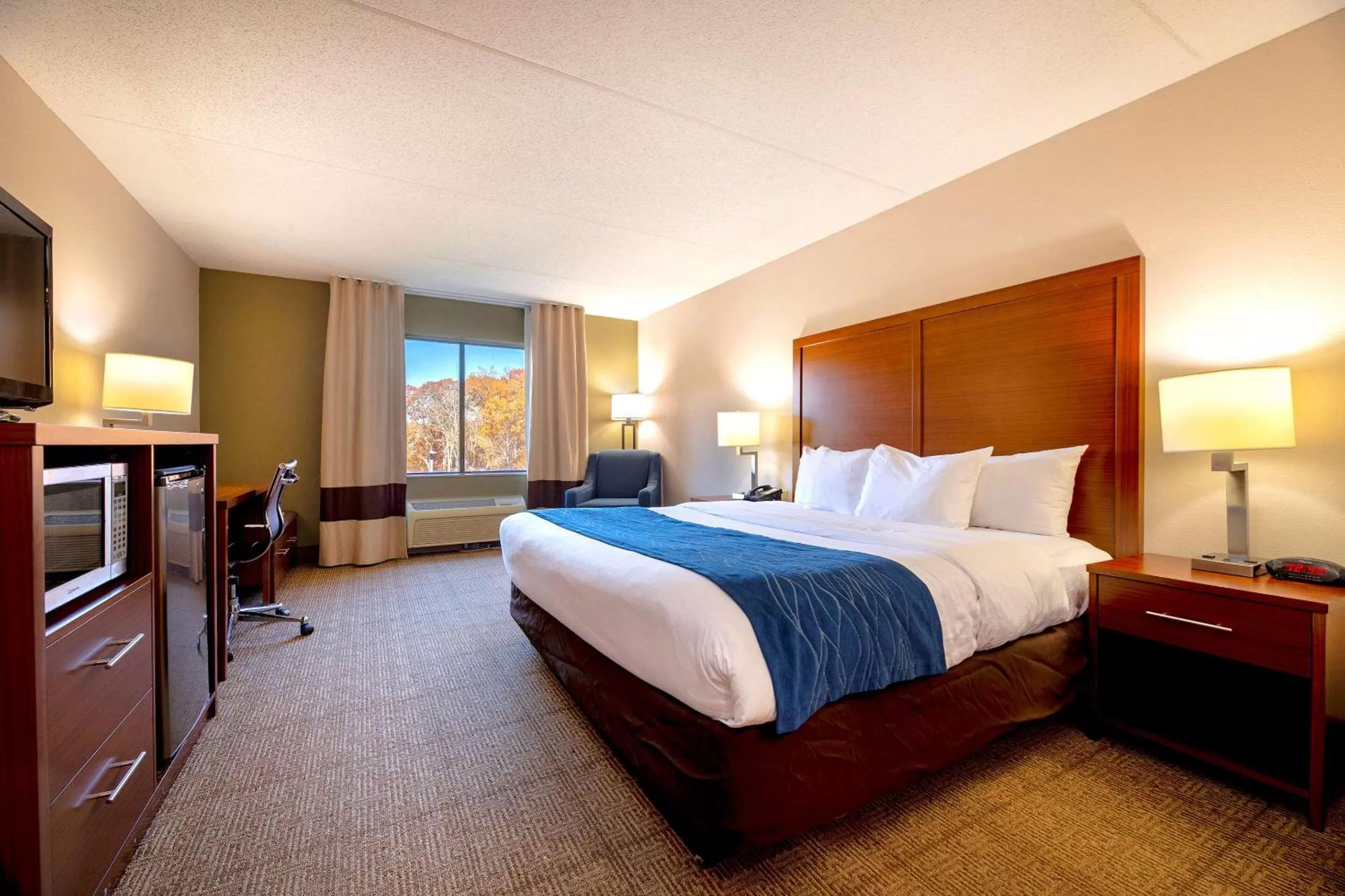 King Suite - Non-Smoking in Comfort Inn Near Quantico Main Gate North