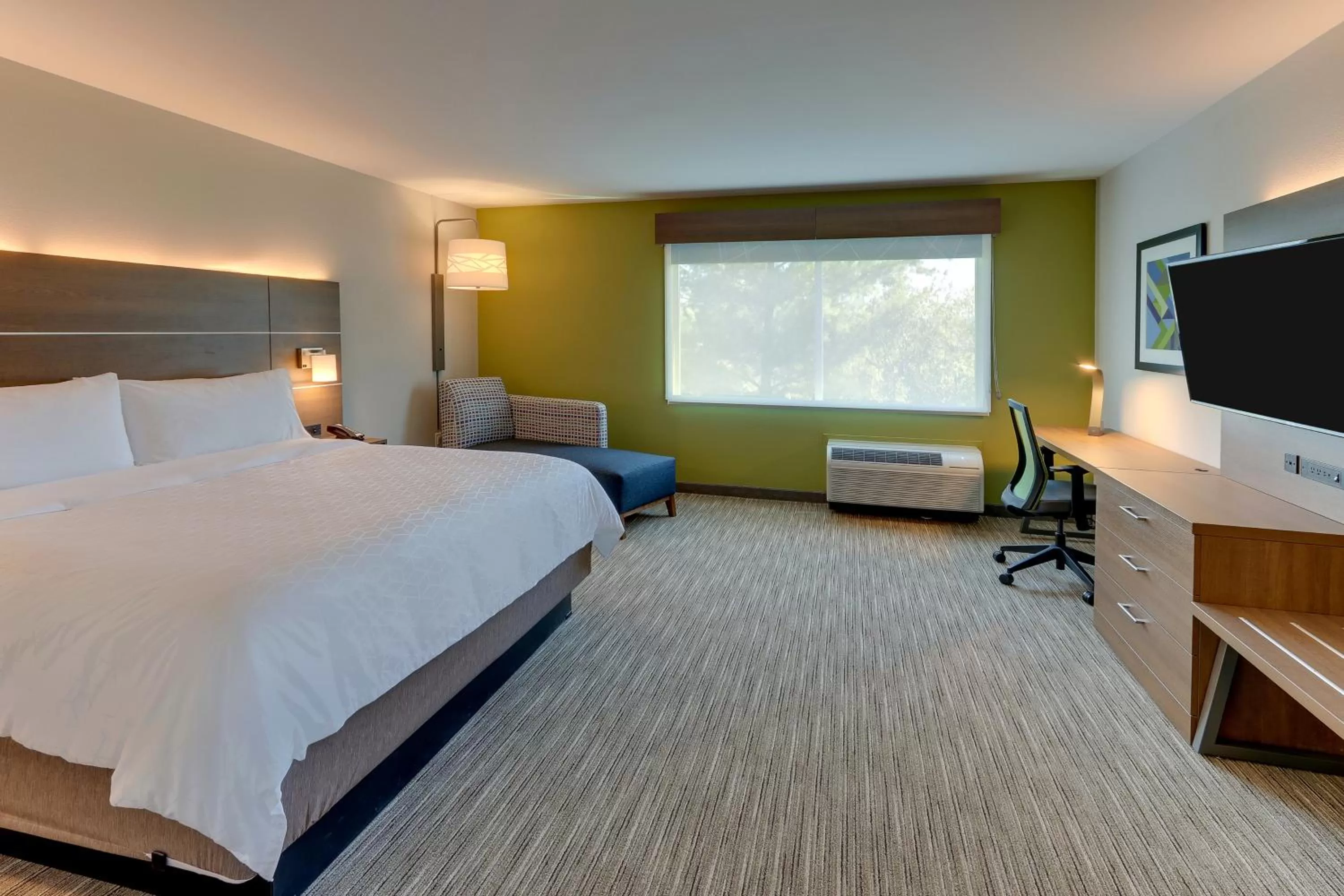 King Room - Hearing Accessible in Holiday Inn Express & Suites - Roanoke – Civic Center