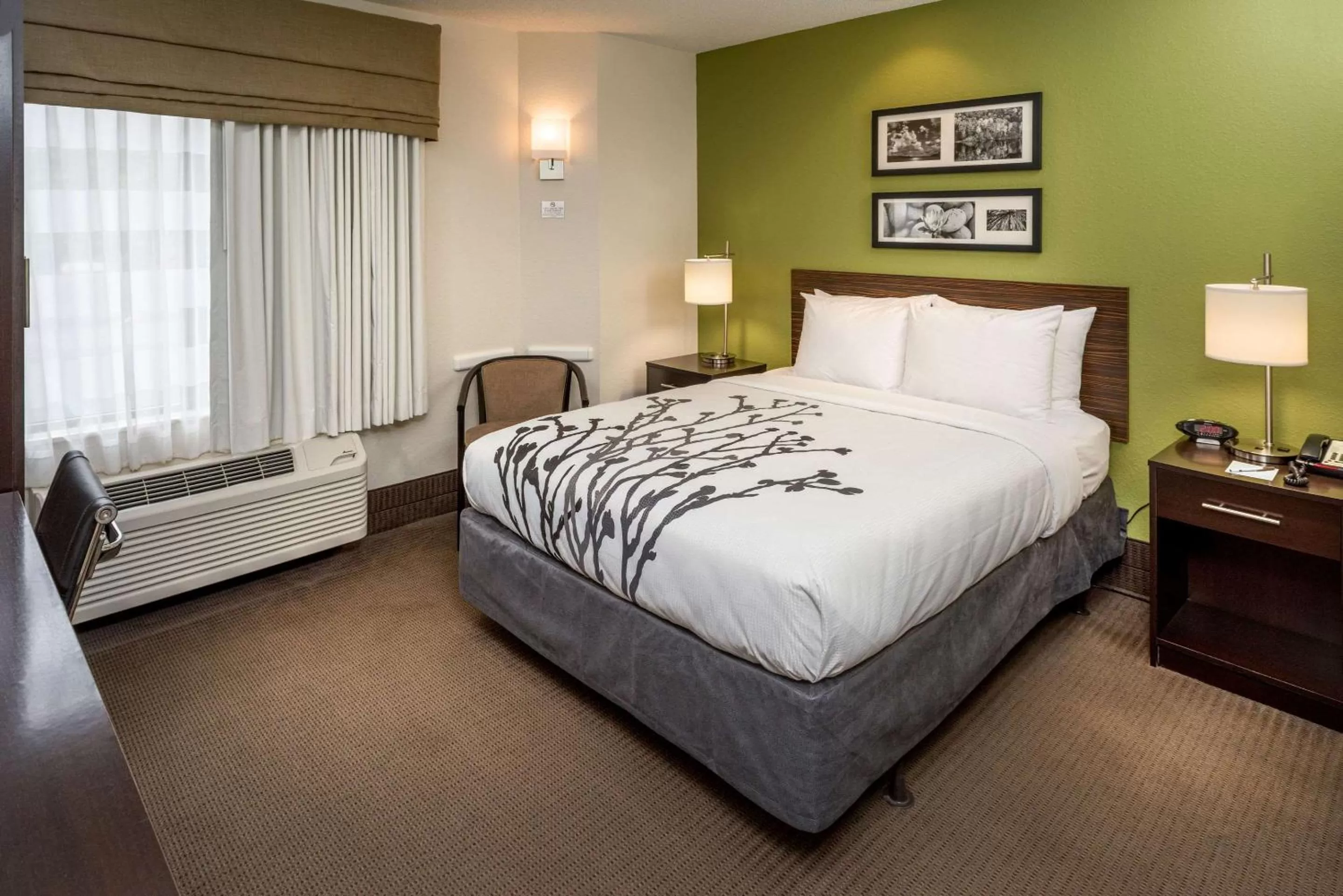 Queen Room - Non-Smoking - Disability Access in Sleep Inn Charleston North