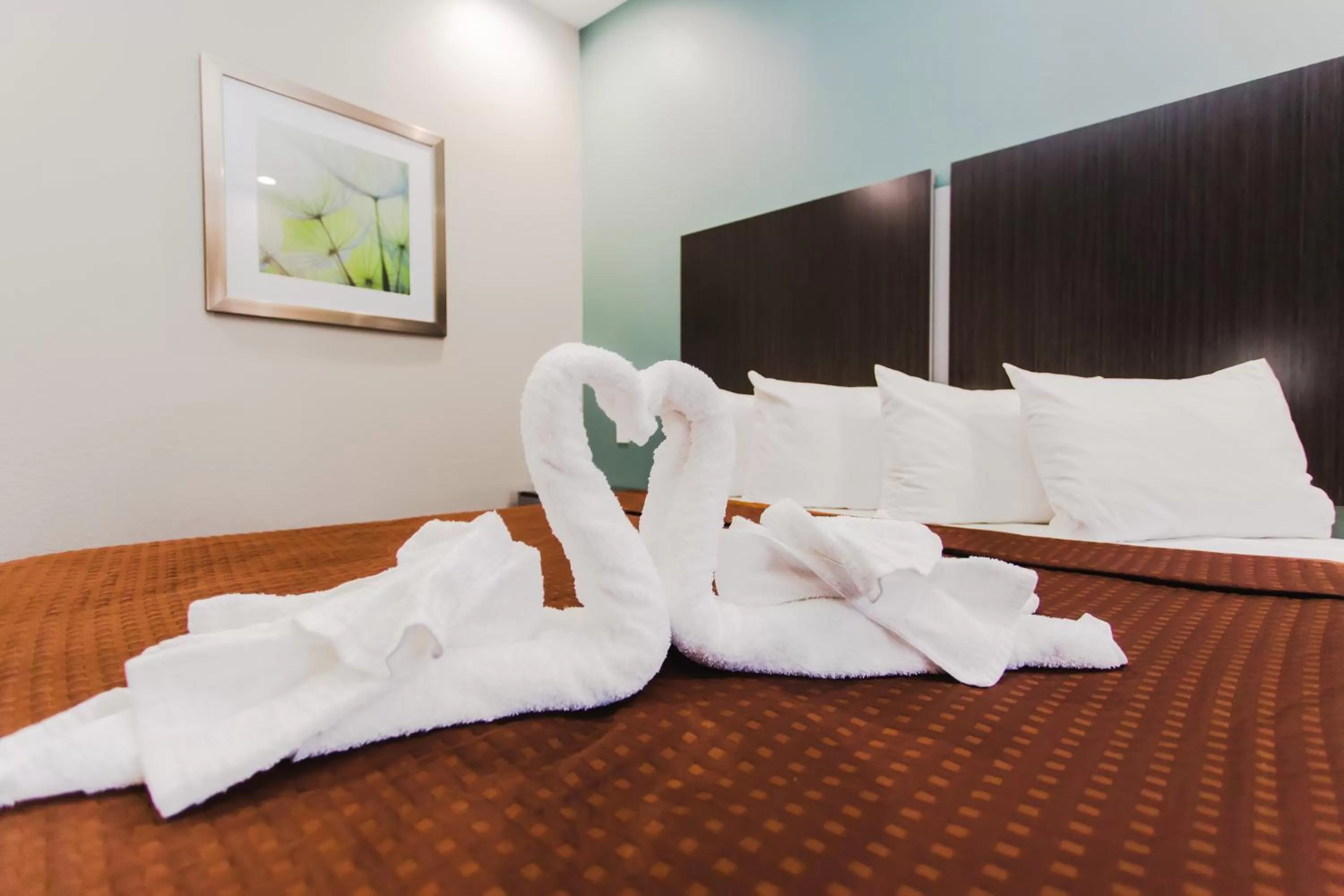 King Suite in Express Inn - Spring