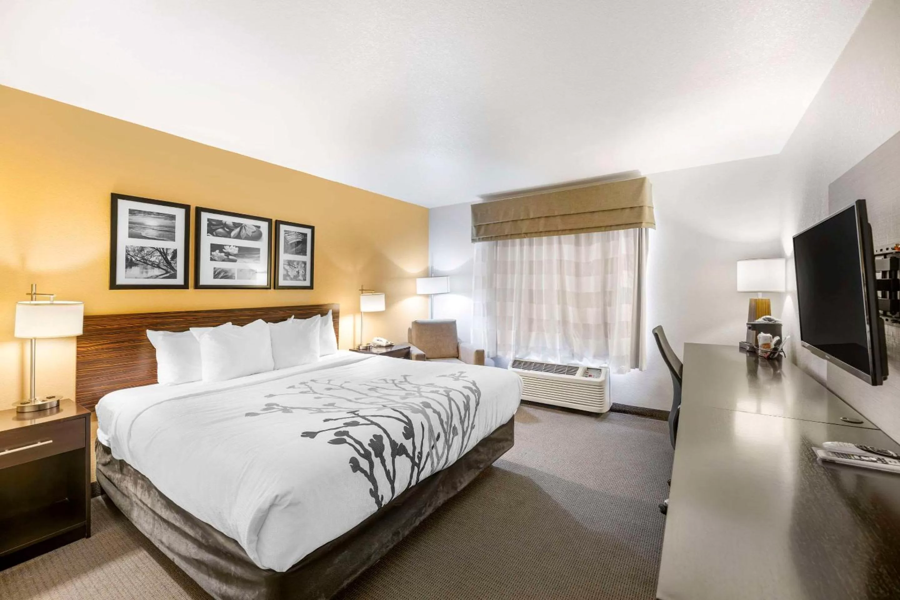 Standard King Room - Non-Smoking  in Sleep Inn & Suites Carlsbad Caverns Area