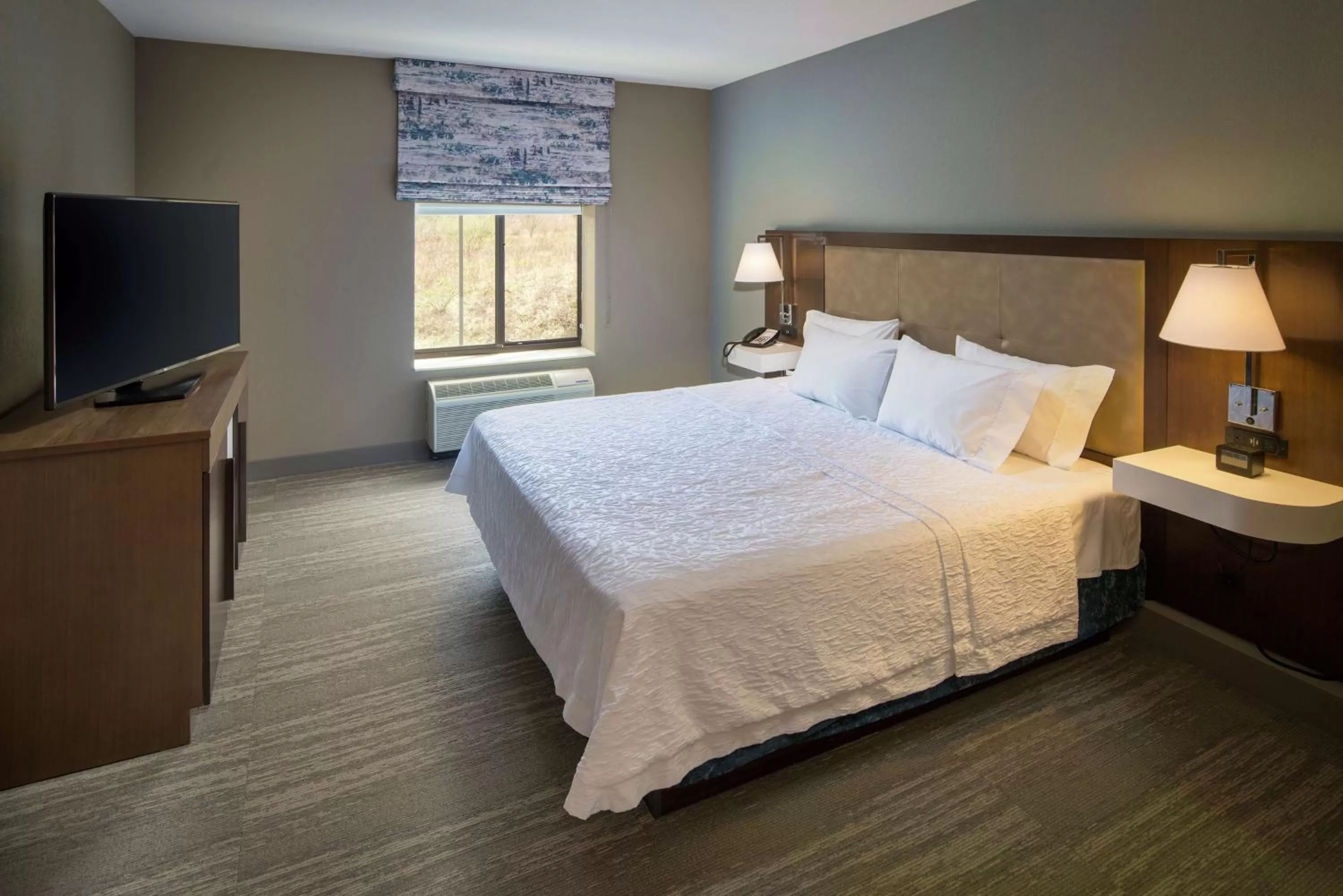 King Suite with Bay Window Non Smoking in Hampton Inn & Suites Binghamton/Vestal