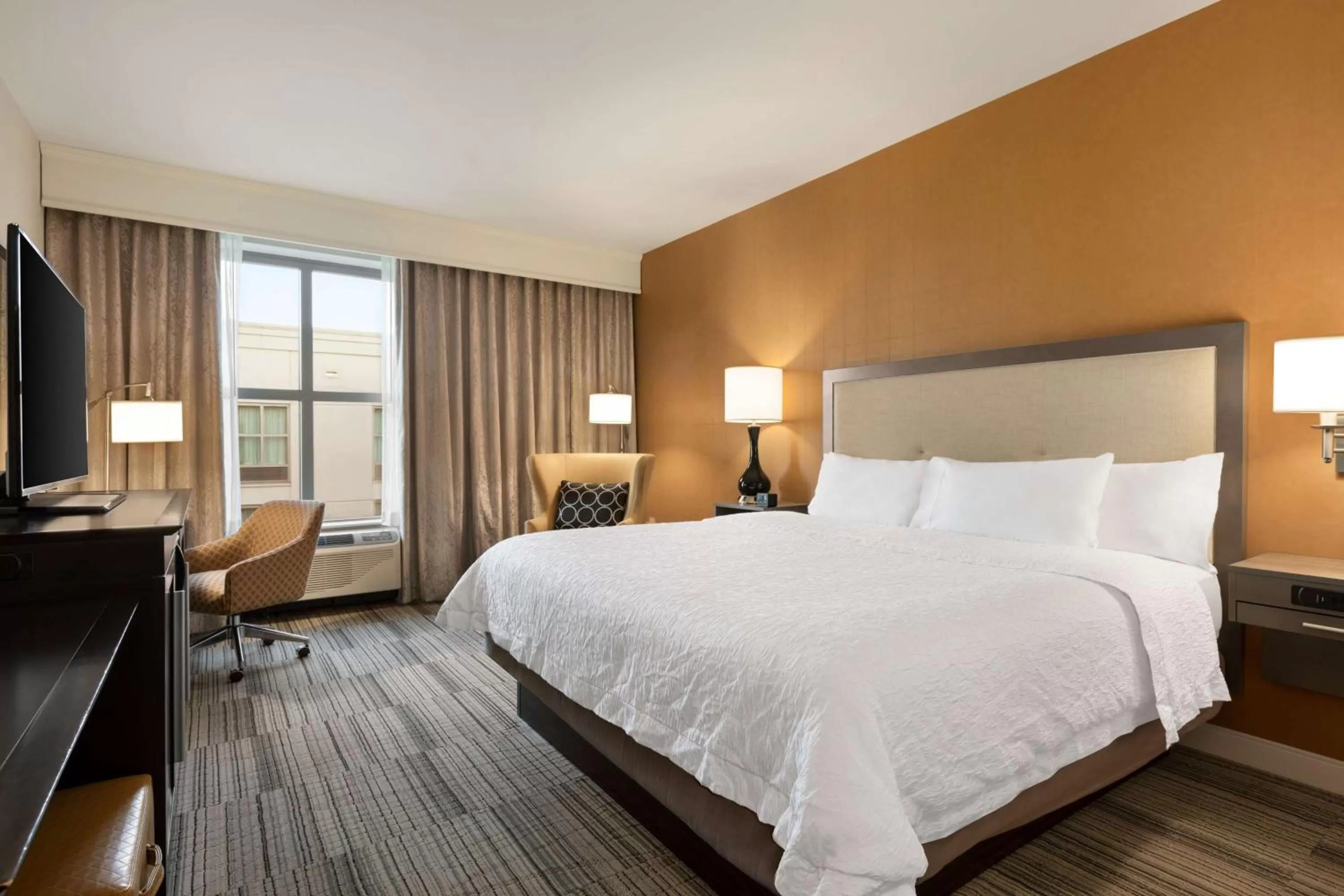King Room - Hearing Access/Non-Smoking in Hampton Inn & Suites - Roanoke-Downtown, VA