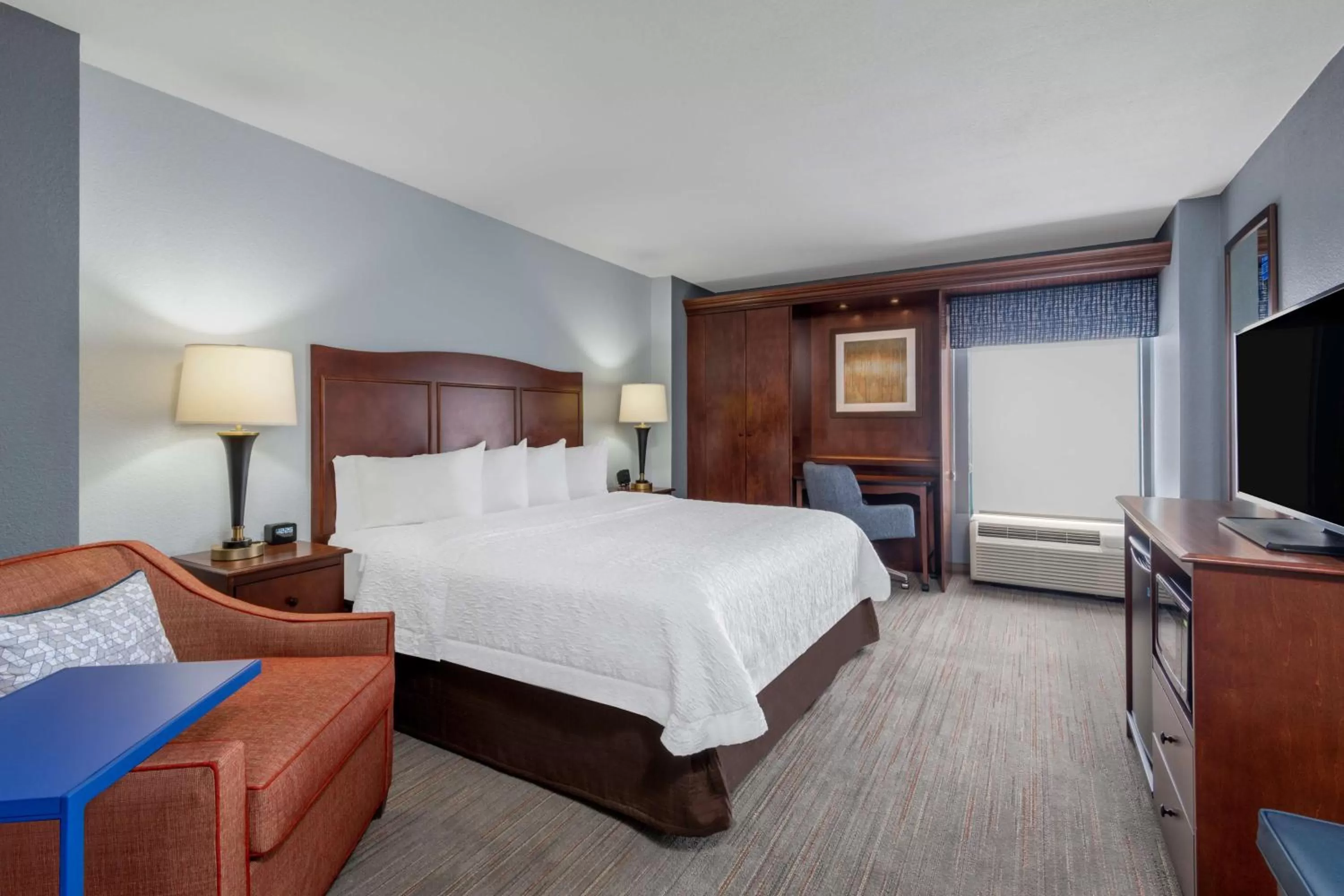 King Room with King Bed - Non-Smoking in Hampton Inn Denver-International Airport