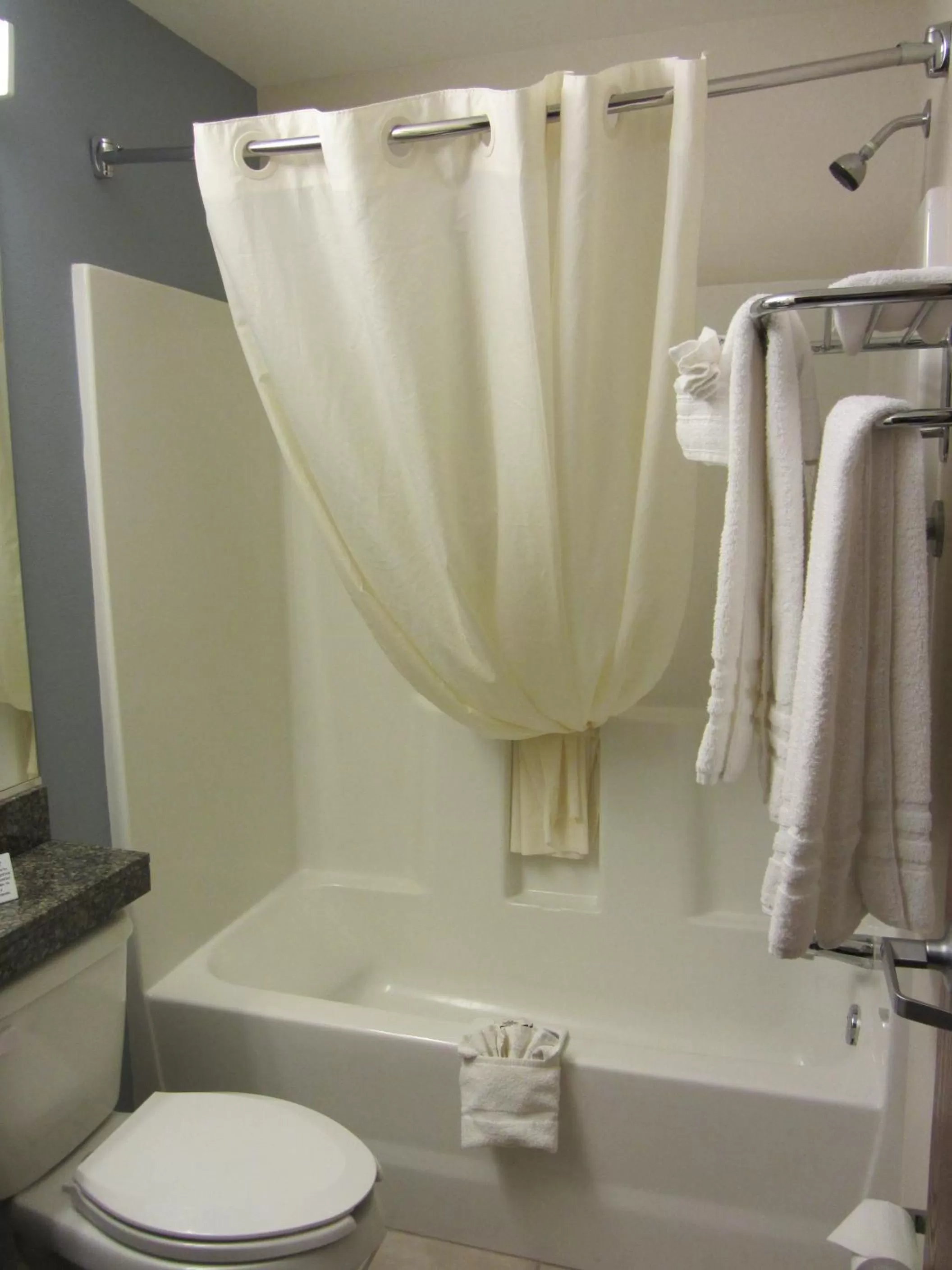 Queen Suite with Tub - Mobility/Hearing Accessible - Non-Smoking in Microtel Inn and Suites San Angelo