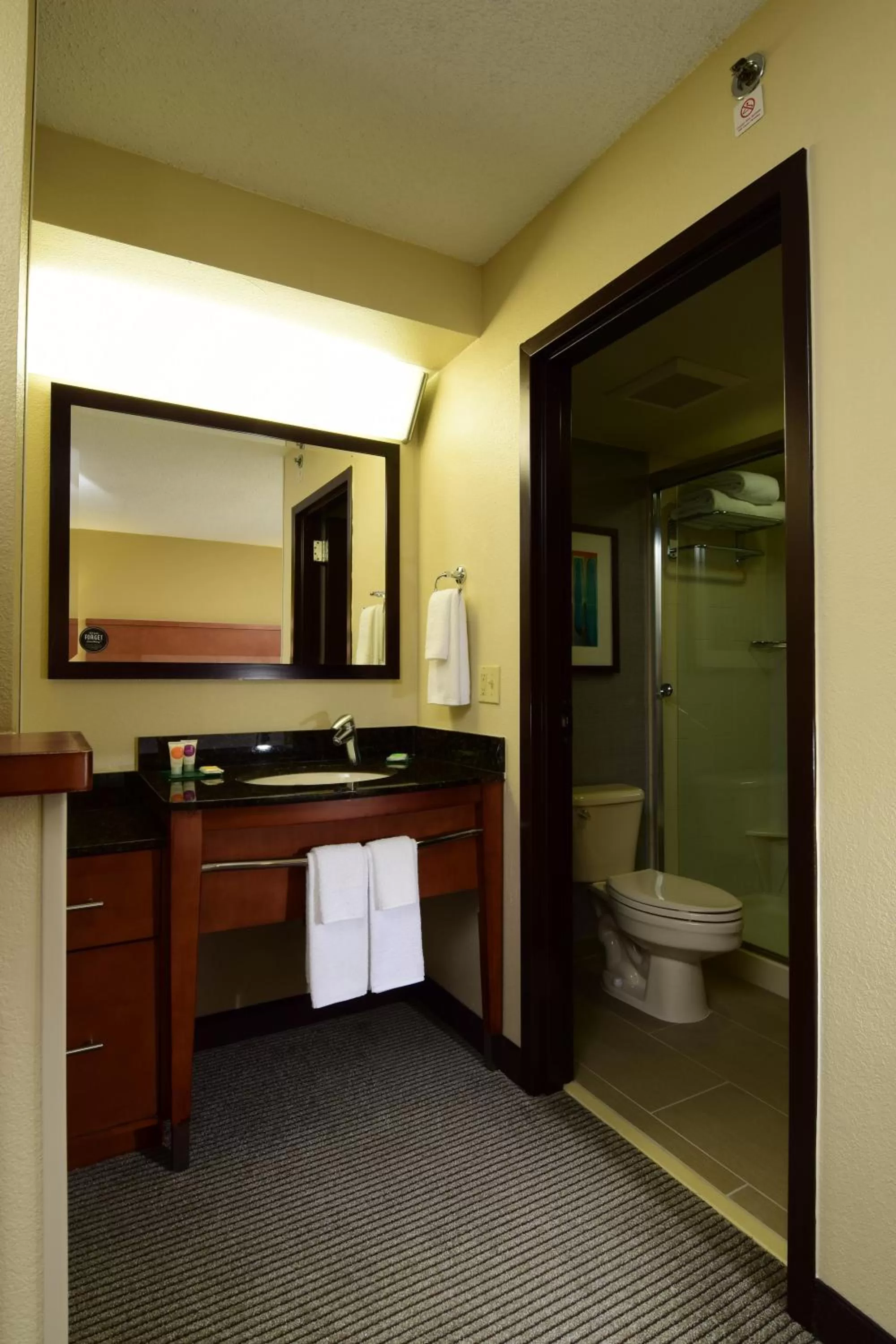 Double Room with Two Double Beds and Sofa Bed in Hyatt Place Dallas Las Colinas