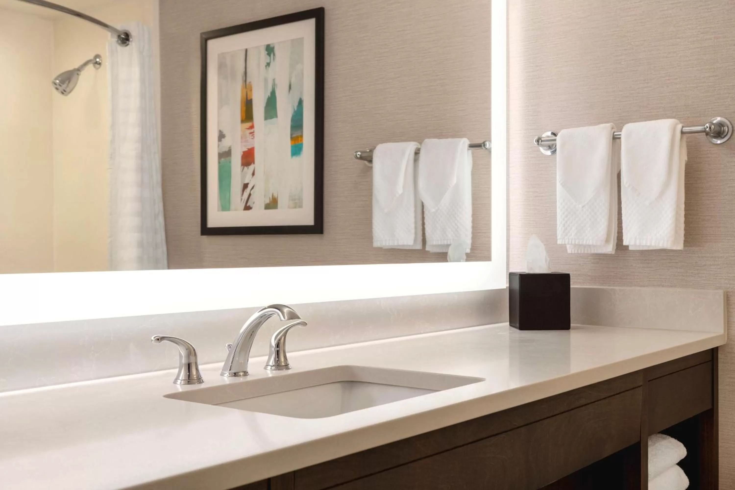 Two-Room King Suite - Non-Smoking in Embassy Suites by Hilton Baltimore at BWI Airport