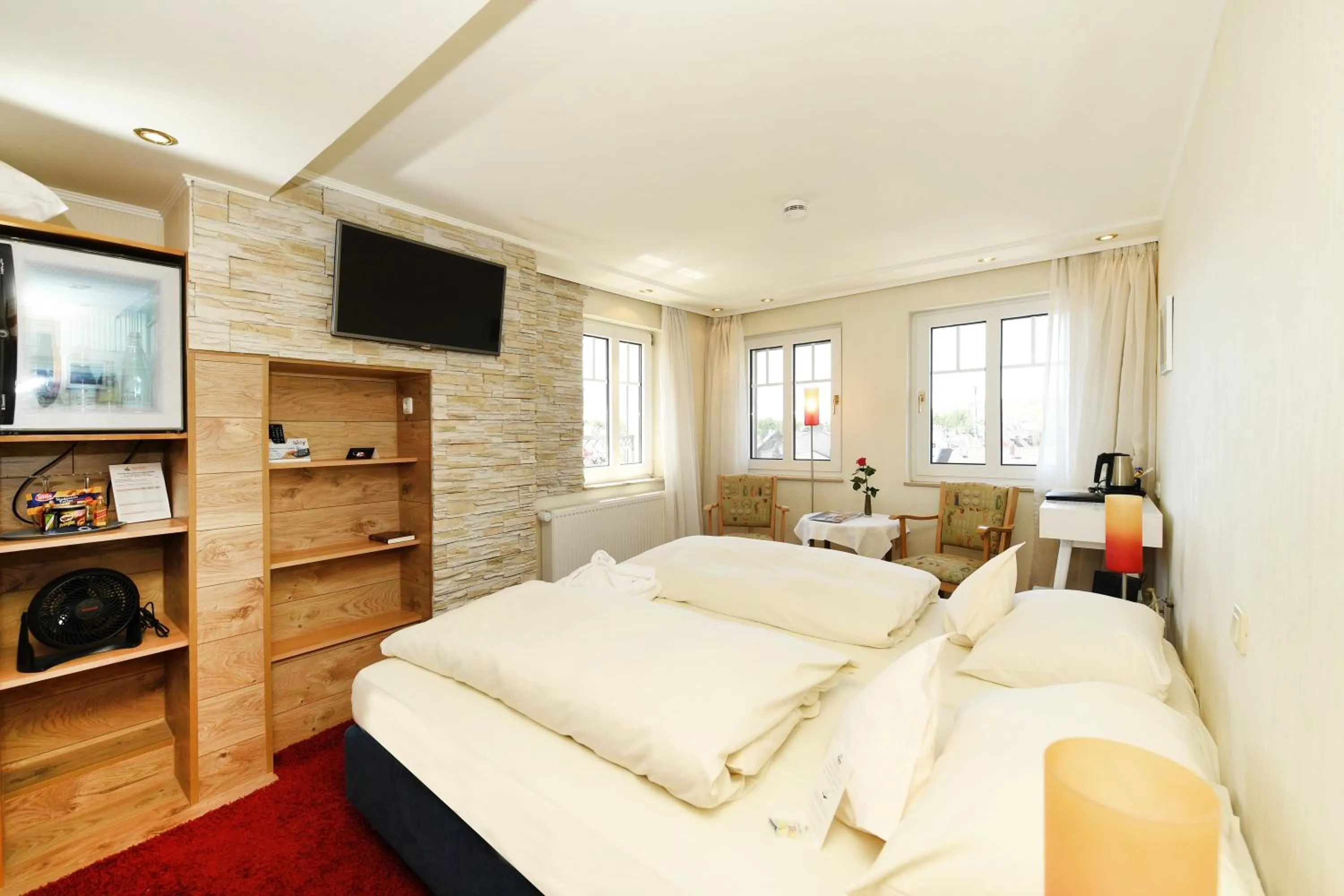 Economy Double Room in Rhein-Hotel Nierstein