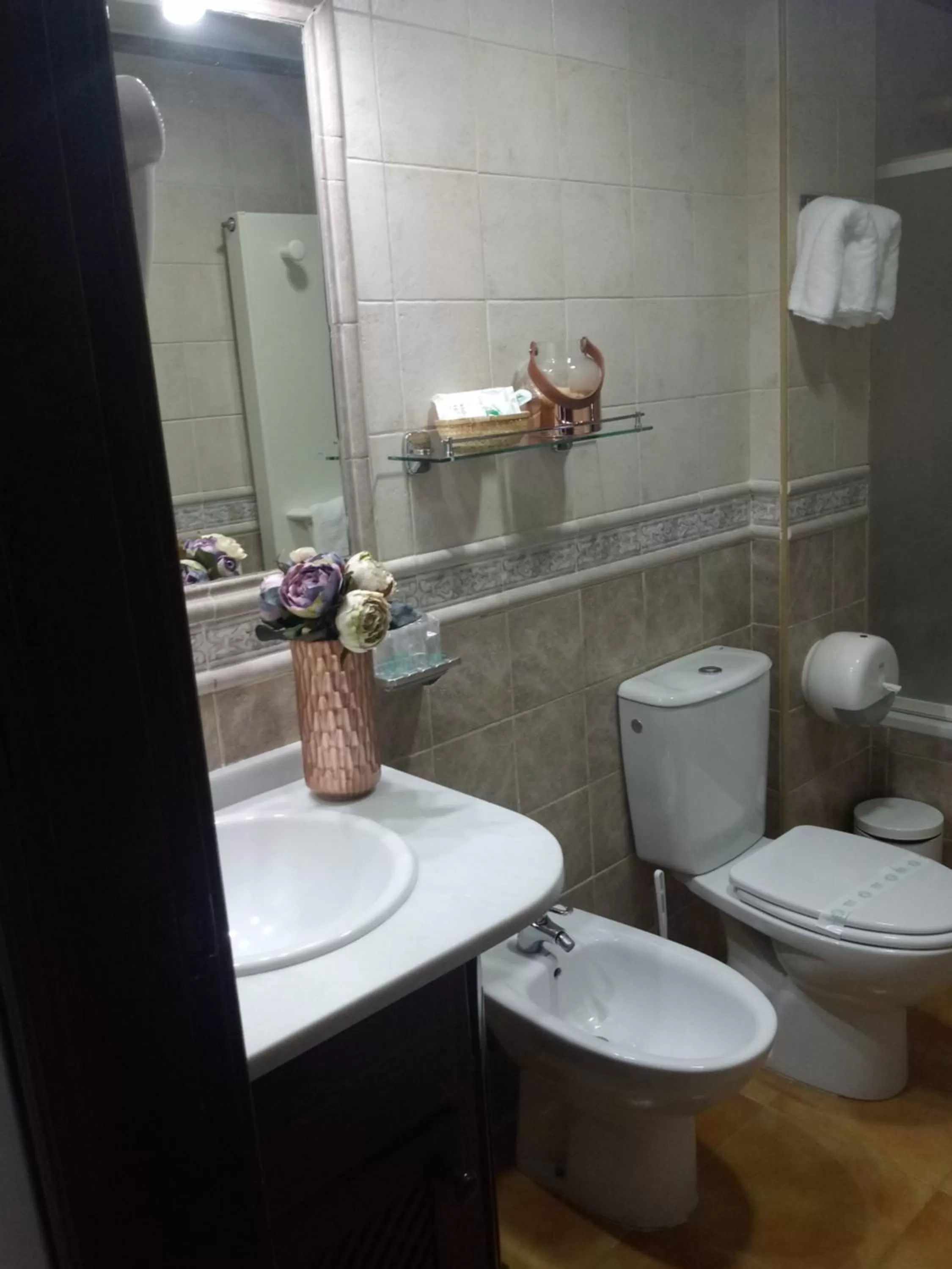 Double or Twin Room in Hotel El Guerra