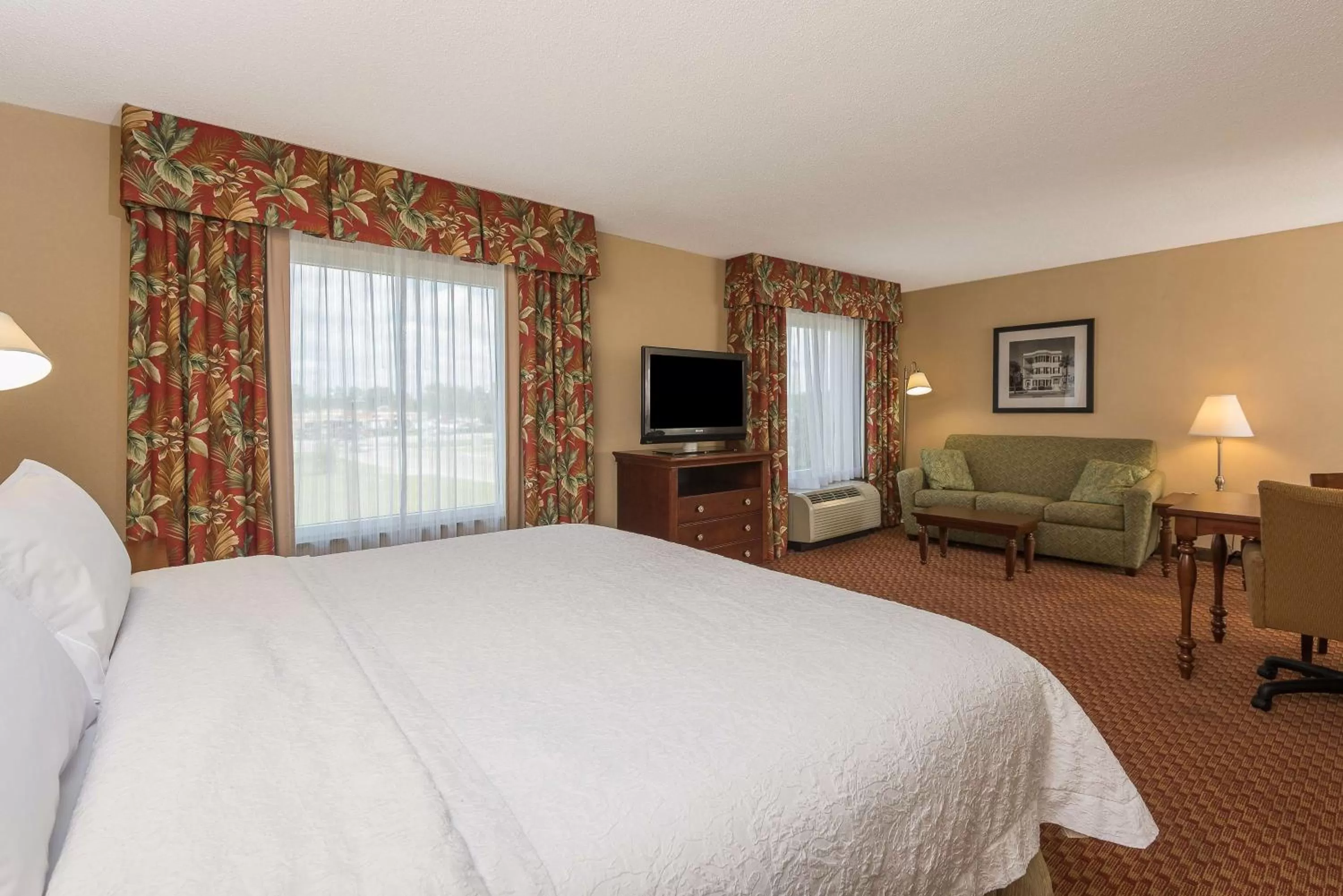 King Studio Suite with Shower - Non-Smoking in Hampton Inn & Suites Florence-North-I-95