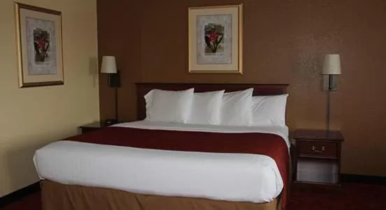 King Room - Non-Smoking in AmericInn by Wyndham West Bend