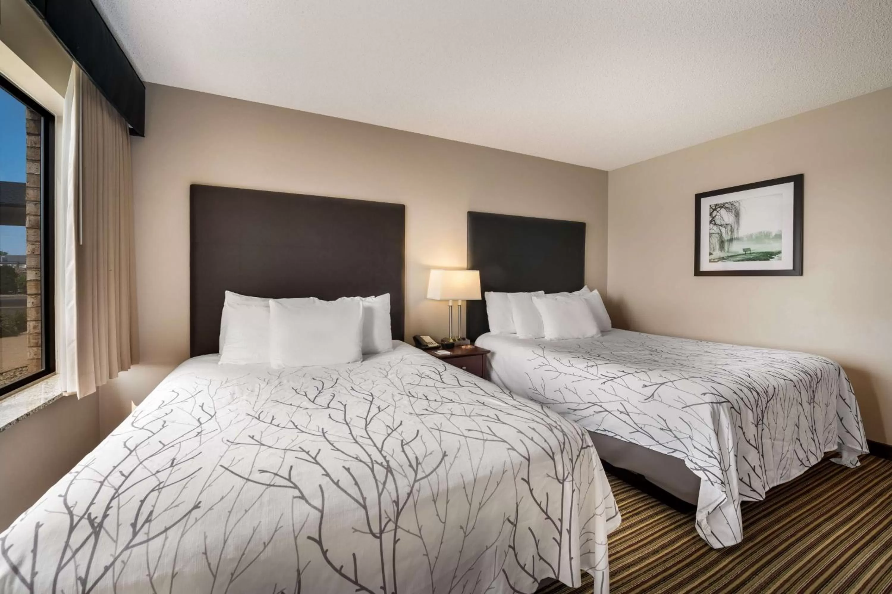 Queen Suite with Two Queen Beds and Sofa-Bed - Non-Smoking in Best Western Park Oasis Inn