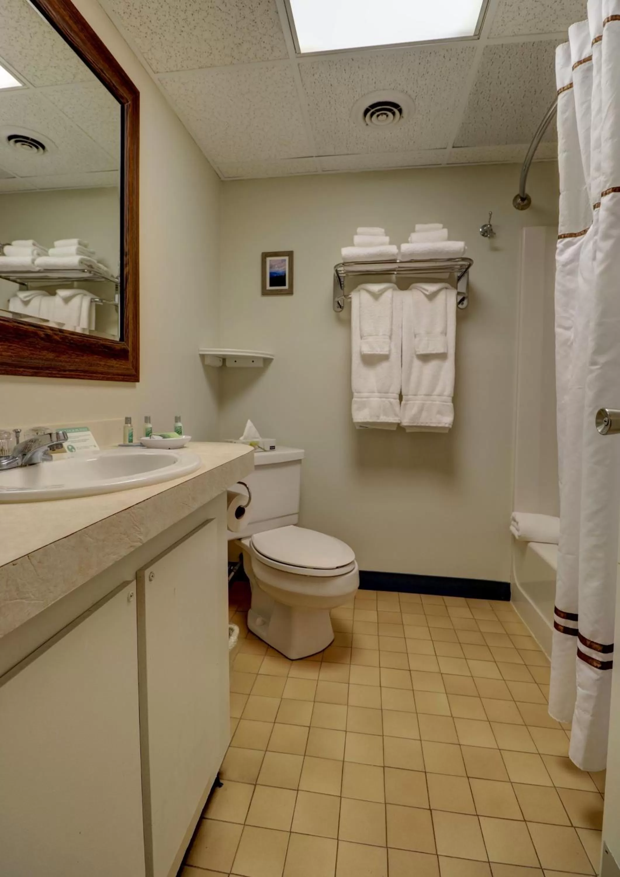 Standard Suite in Fireside Inn & Suites Gilford