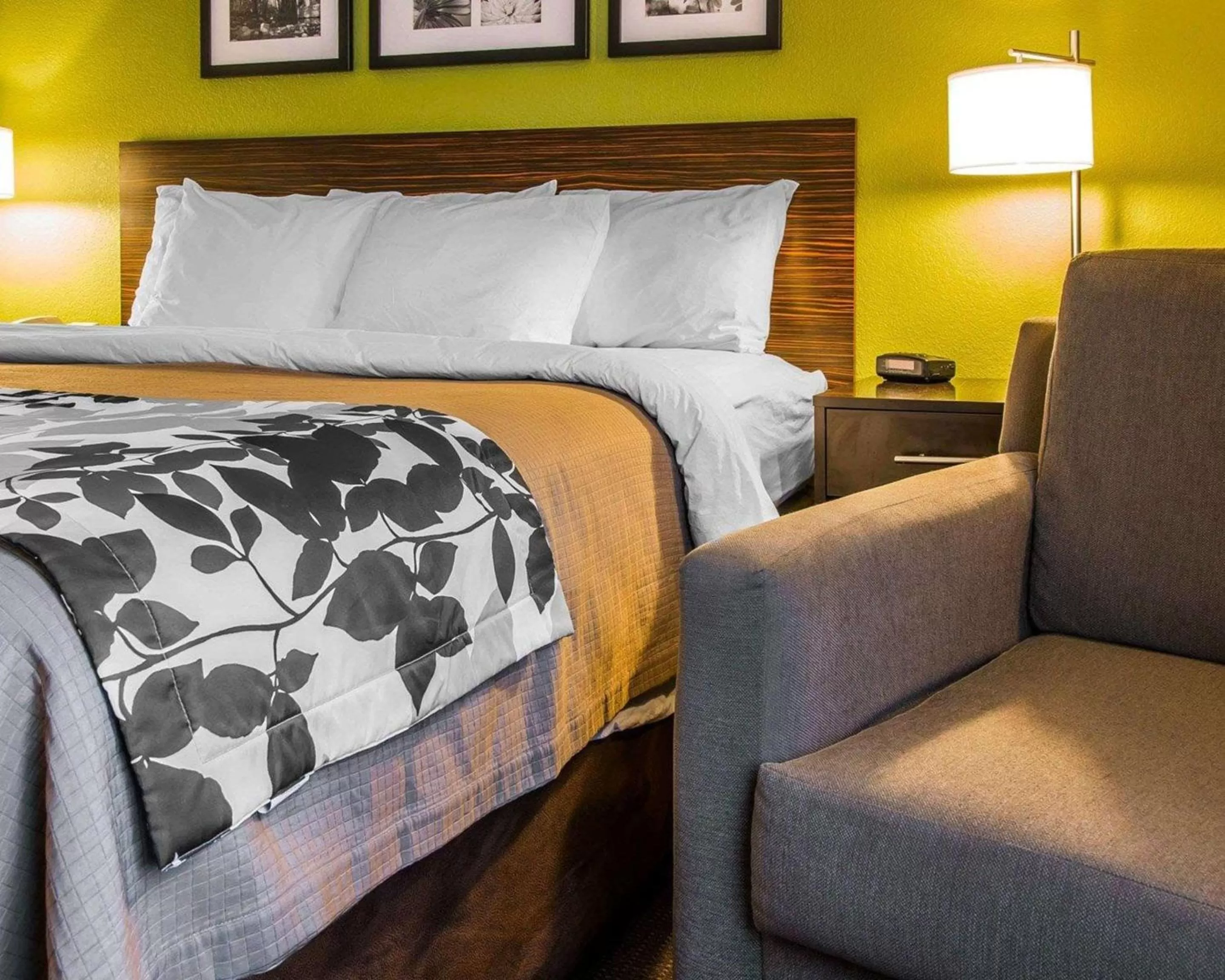 King Room - Non-Smoking in Sleep Inn