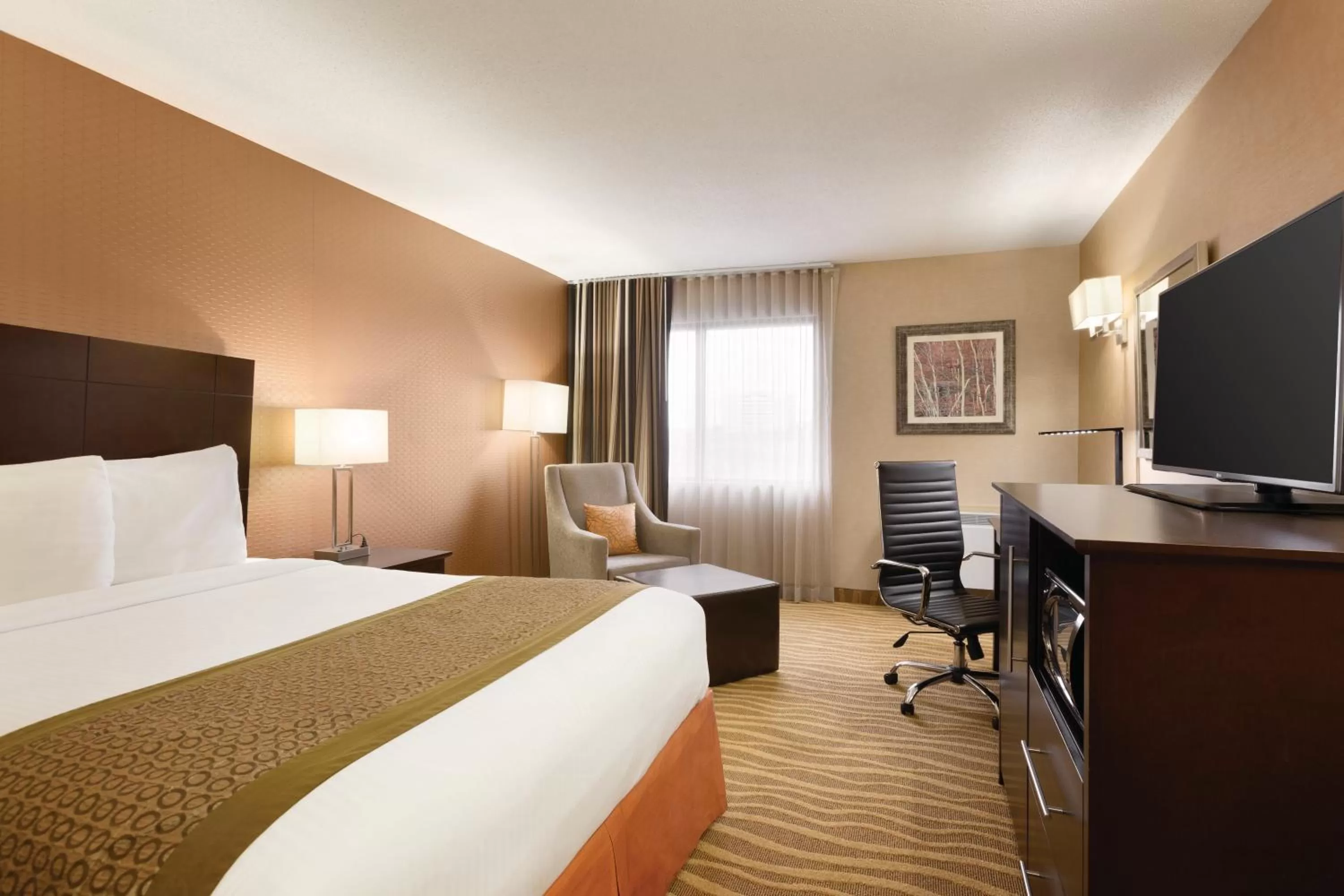 Queen Room in Park Inn by Radisson Toronto-Markham