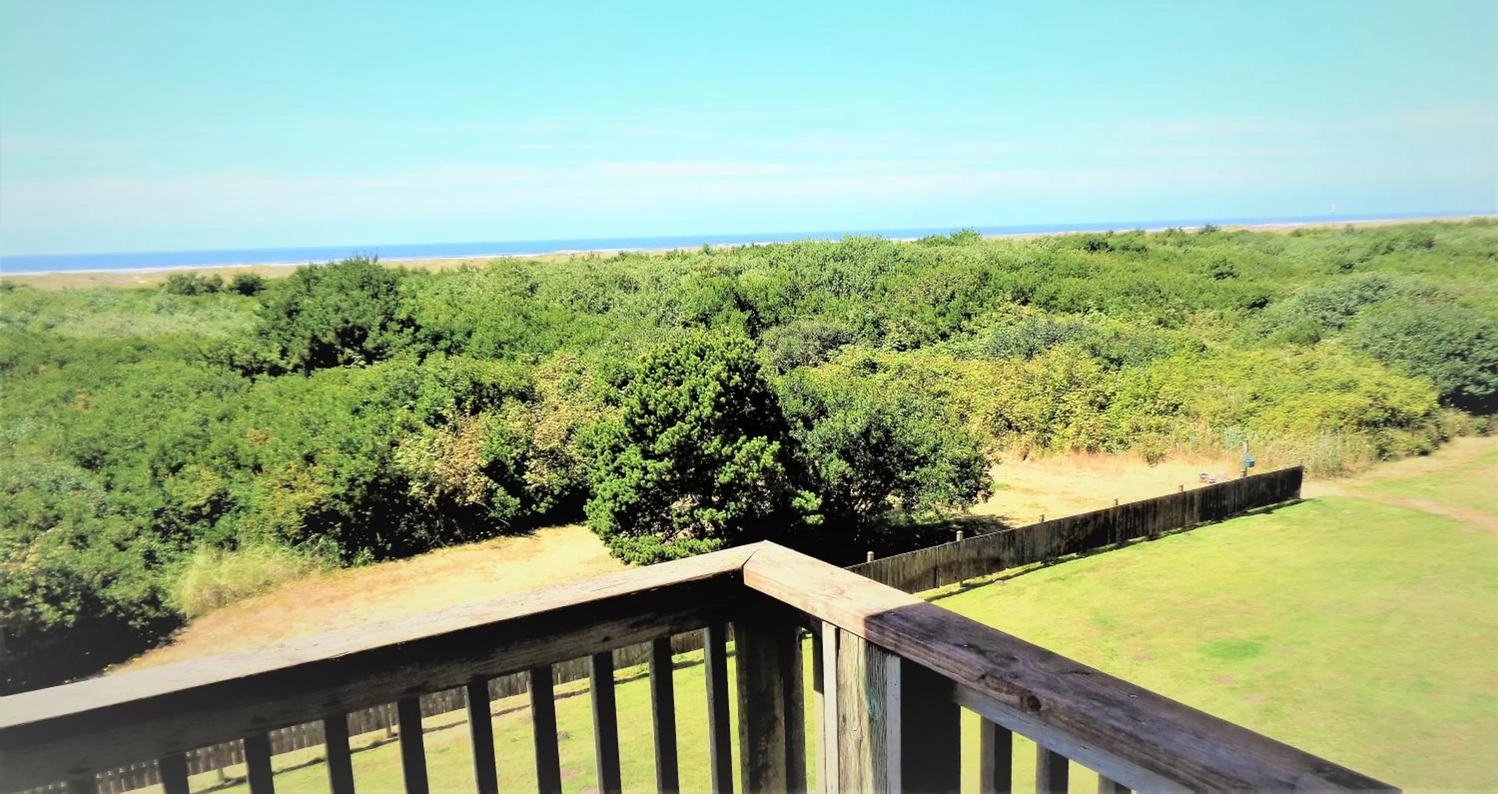 Studio, 1 King, View, No Pets - single occupancy in The Polynesian Resort