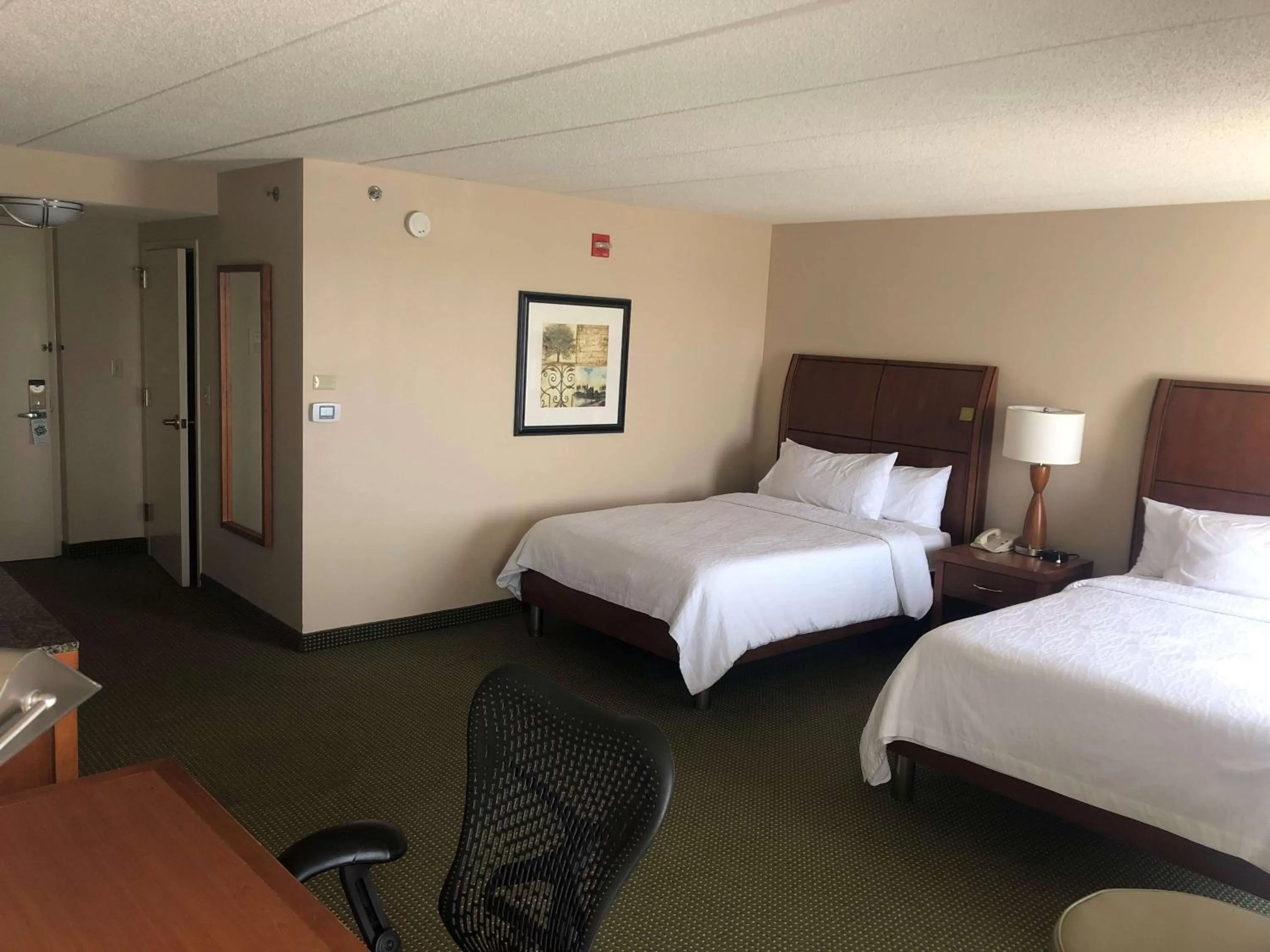 Double Room with Two Double Beds in Hilton Garden Inn Addison