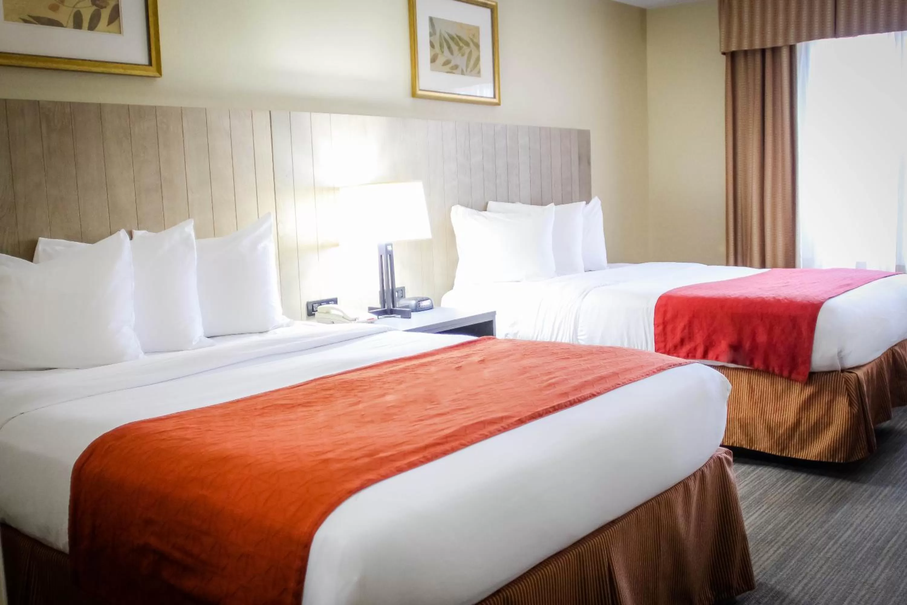 Queen Room with Two Queen Beds - Non-Smoking in Country Inn & Suites by Radisson, Chester, VA