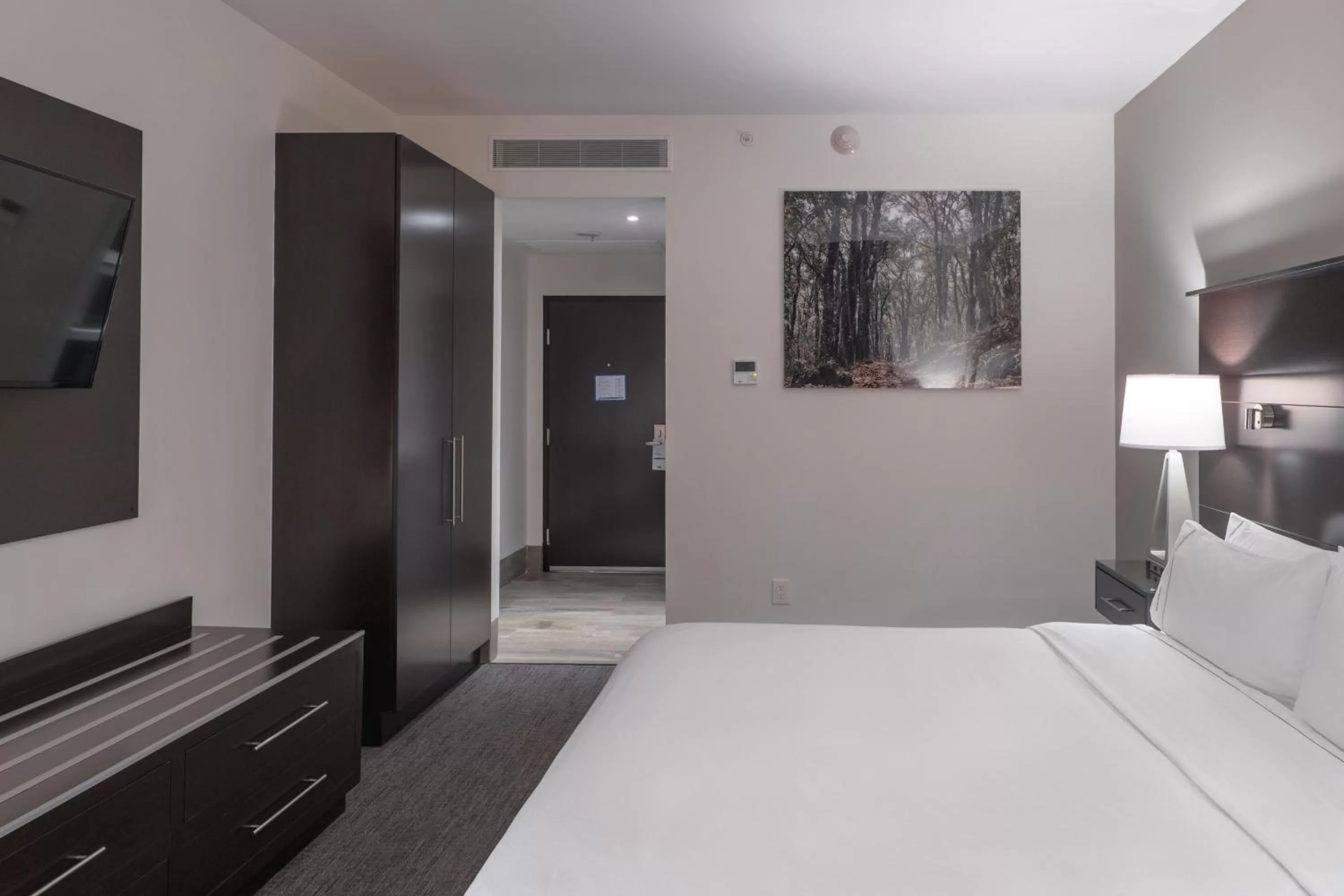 Standard King Room in Holiday Inn Express & Suites Silao Aeropuerto Terminal by IHG