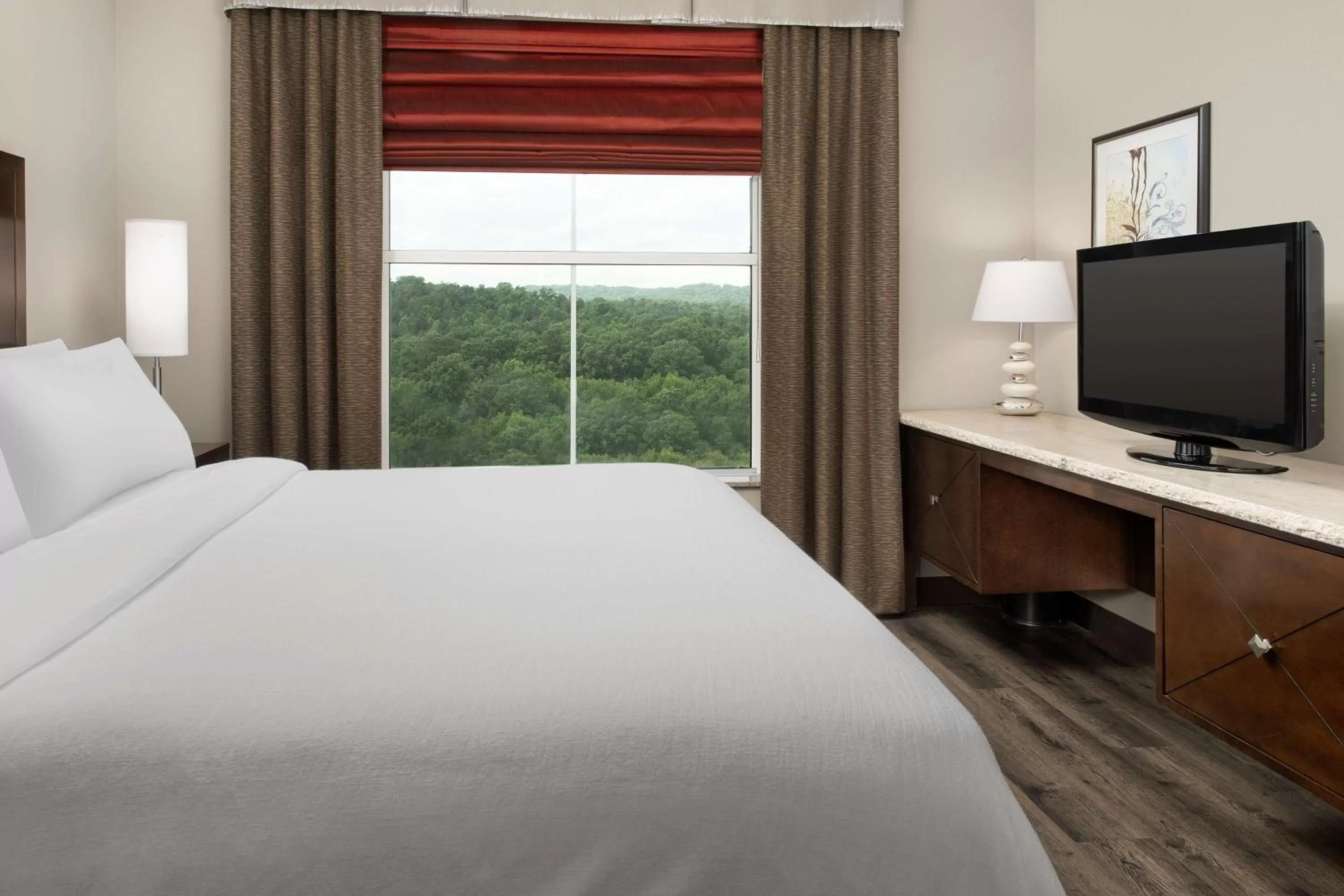 Hypoallergenic King Room - Non-Smoking in Embassy Suites by Hilton Birmingham Hoover