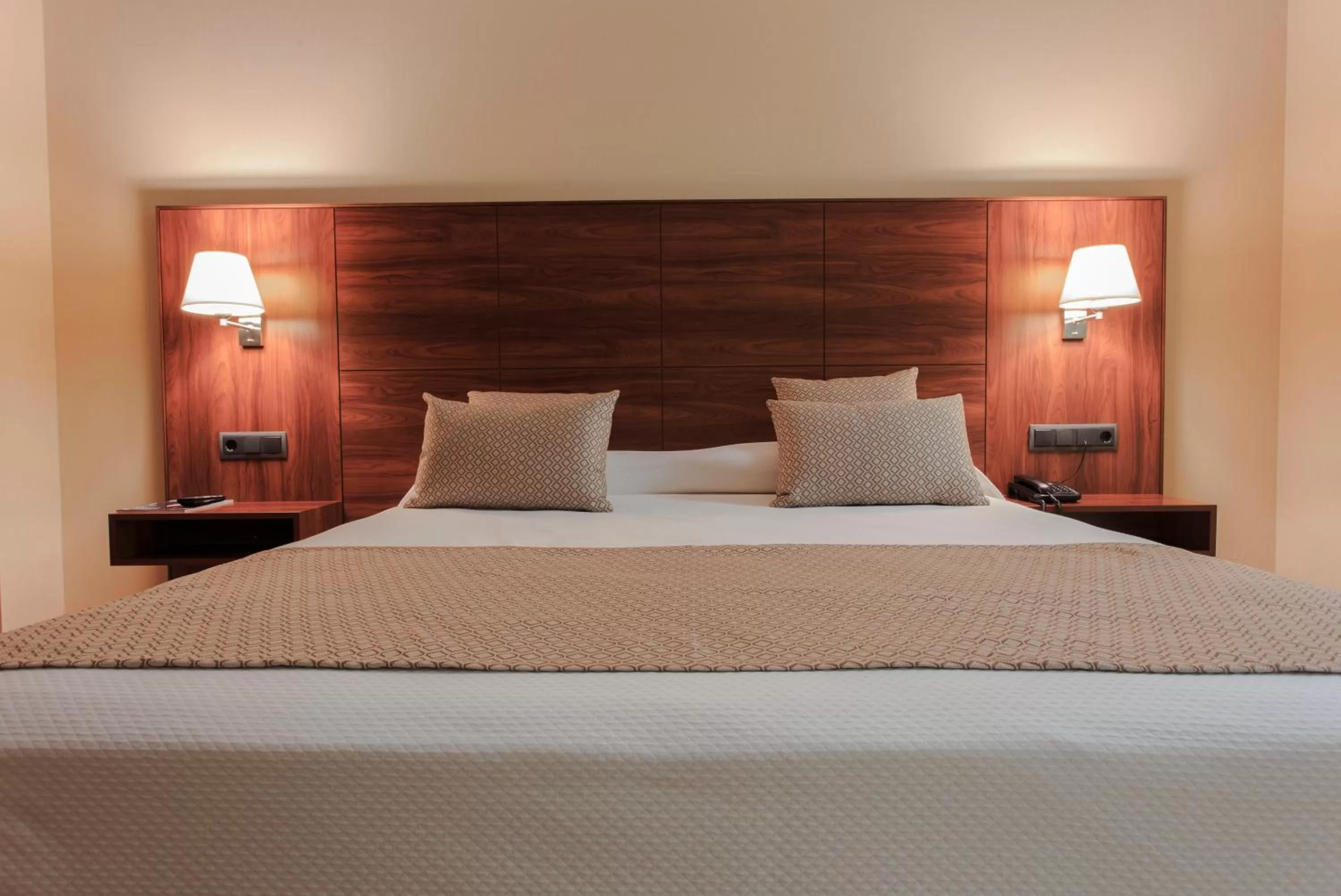 Double or Twin Room in Sercotel Riscal