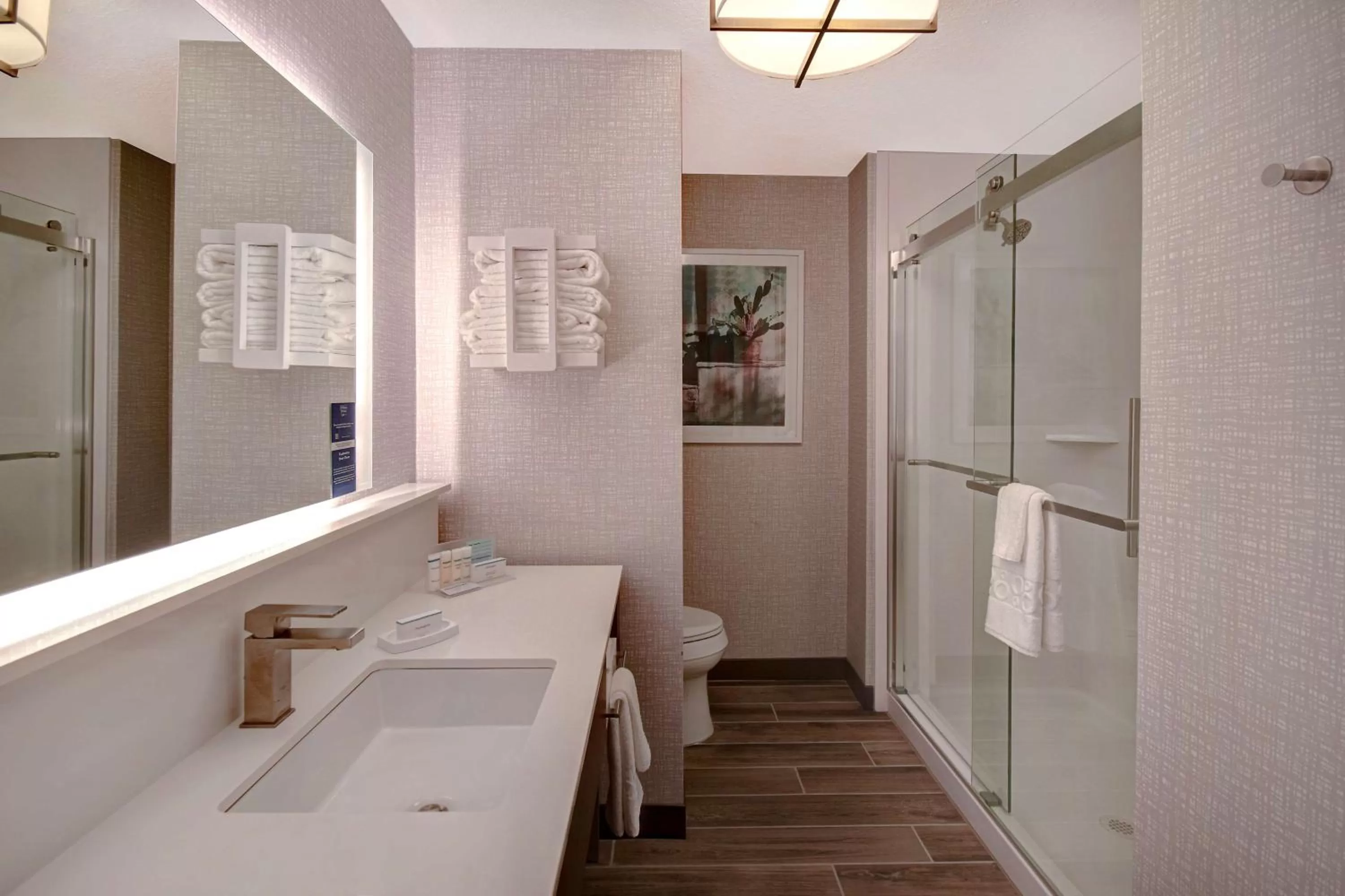 Queen Room with Two Queen Beds - Hearing Access/Non-Smoking in Hampton Inn Tucson Downtown, Az