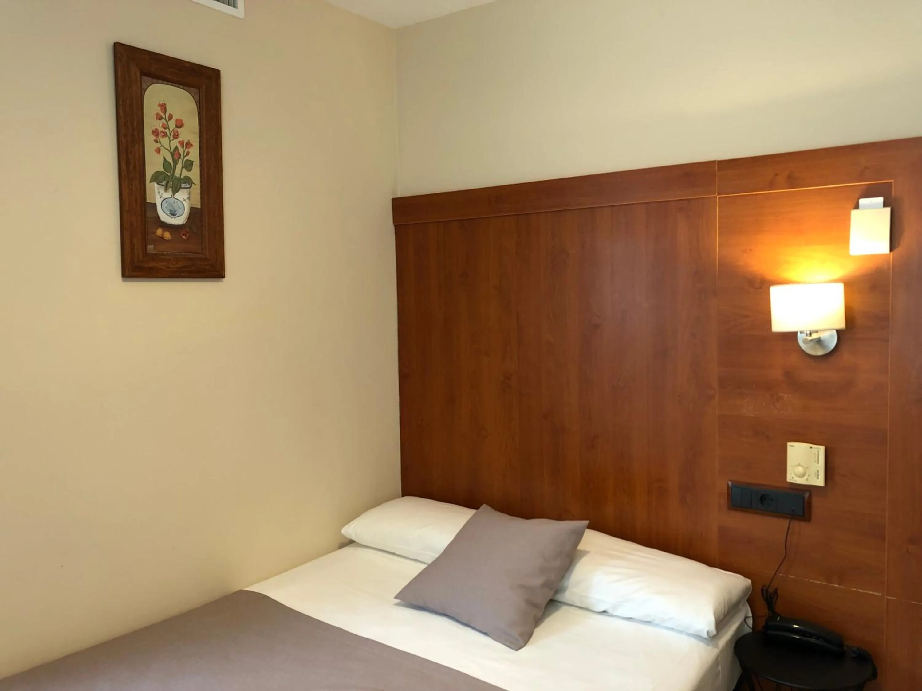 Large Single Room - single occupancy in Hotel Cantón