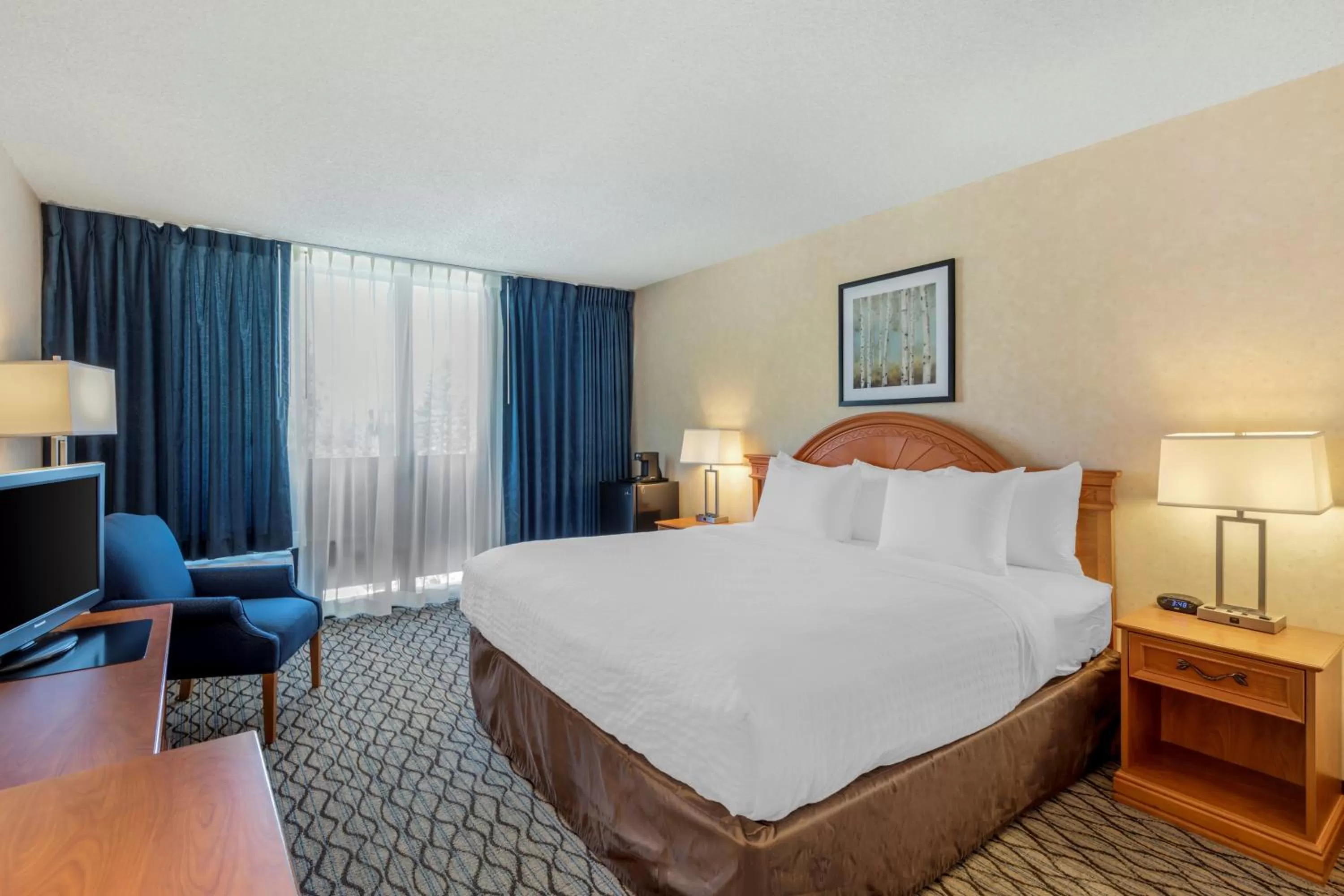 Standard Room, 1 King Bed, Non-Smoking in Clarion Hotel Anaheim Resort