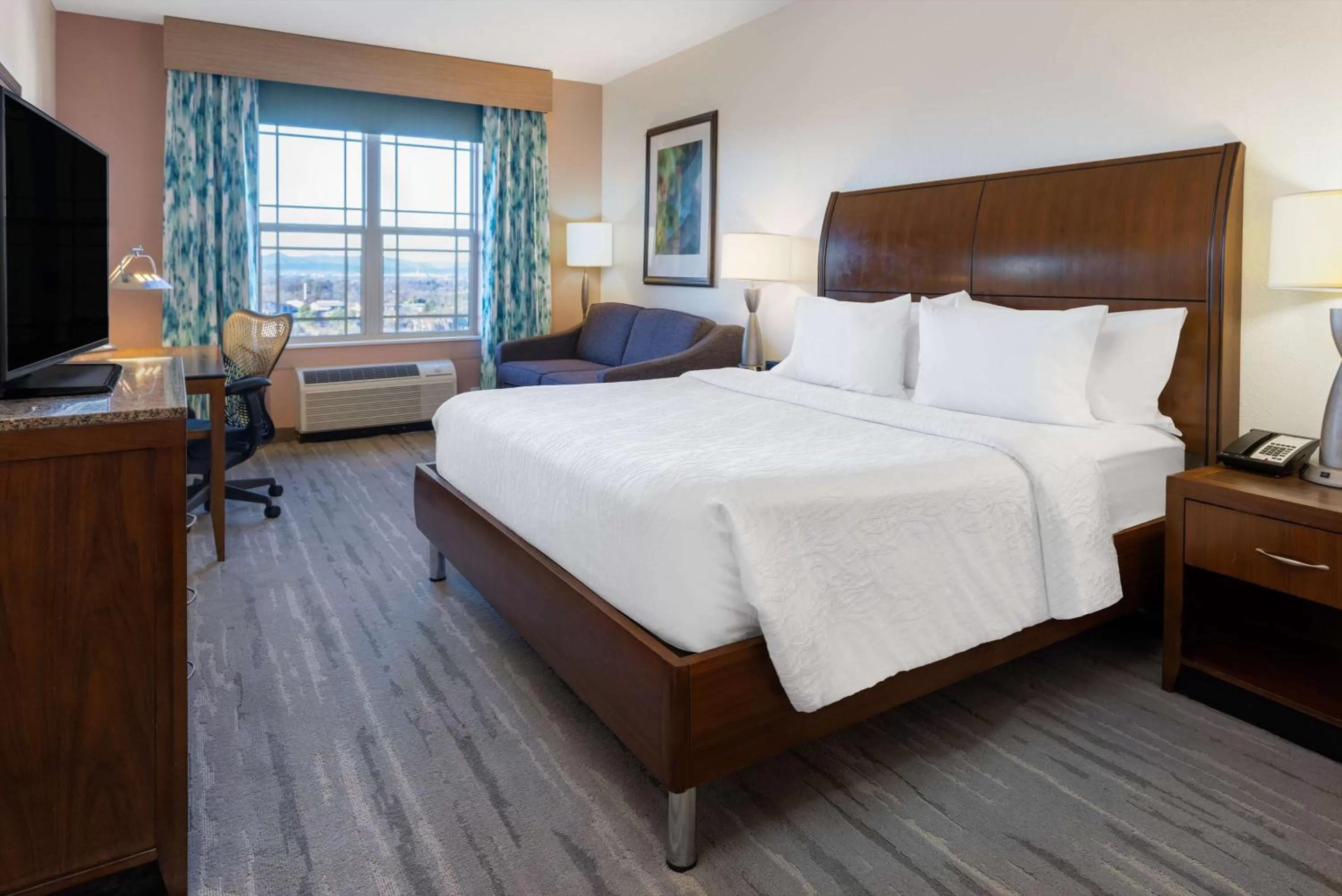 Deluxe King Room in Hilton Garden Inn Roanoke