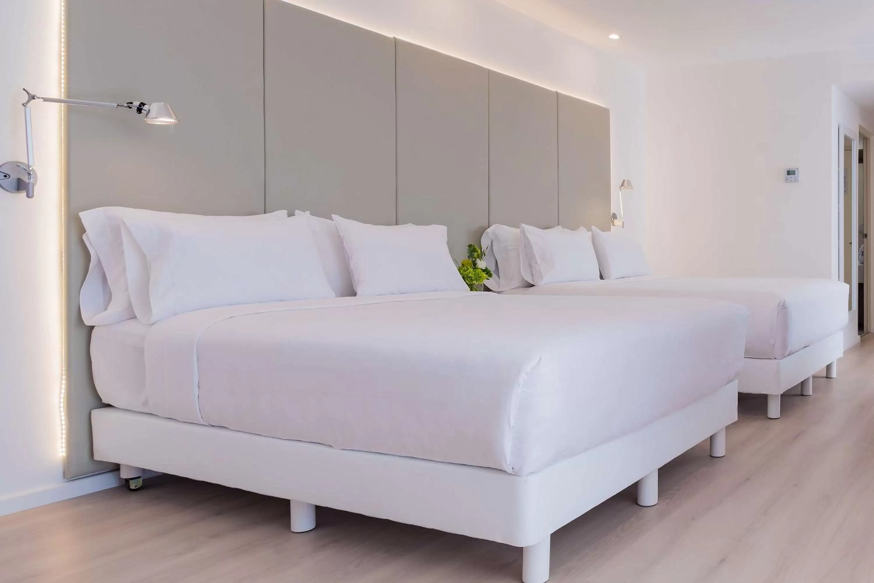 Family Room in NH San Luis Potosí