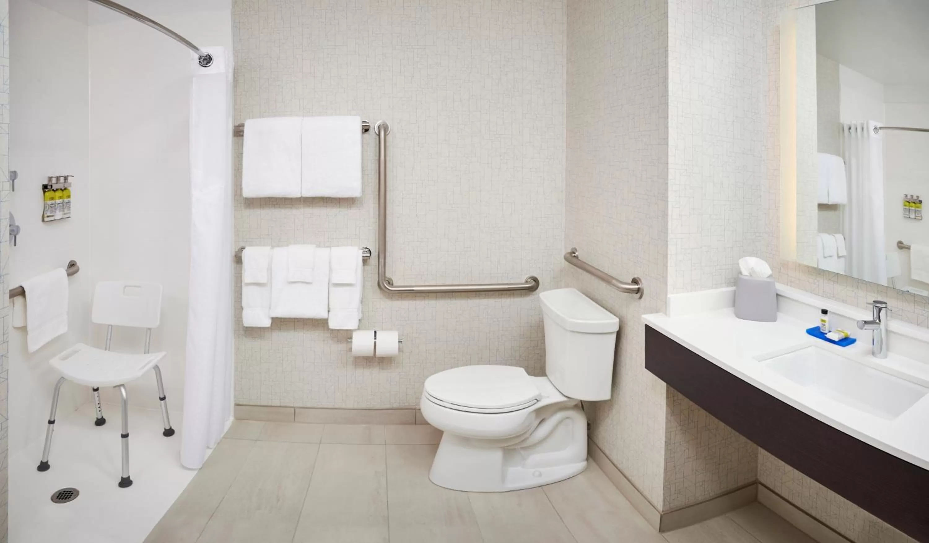 King Room - Mobility Access/Roll in Shower - Non-Smoking in Holiday Inn Express & Suites Windsor East - Lakeshore, an IHG Hotel